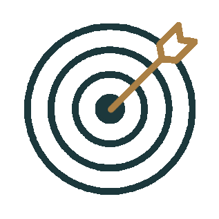 A target with concentric circles and an arrow hitting the bullseye.