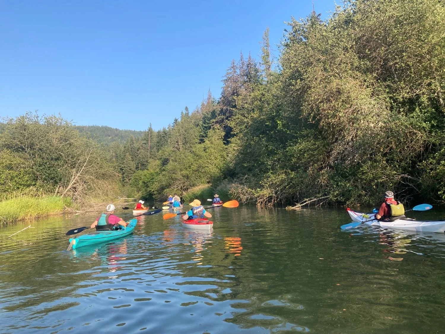 Kayak the Little Spokane River