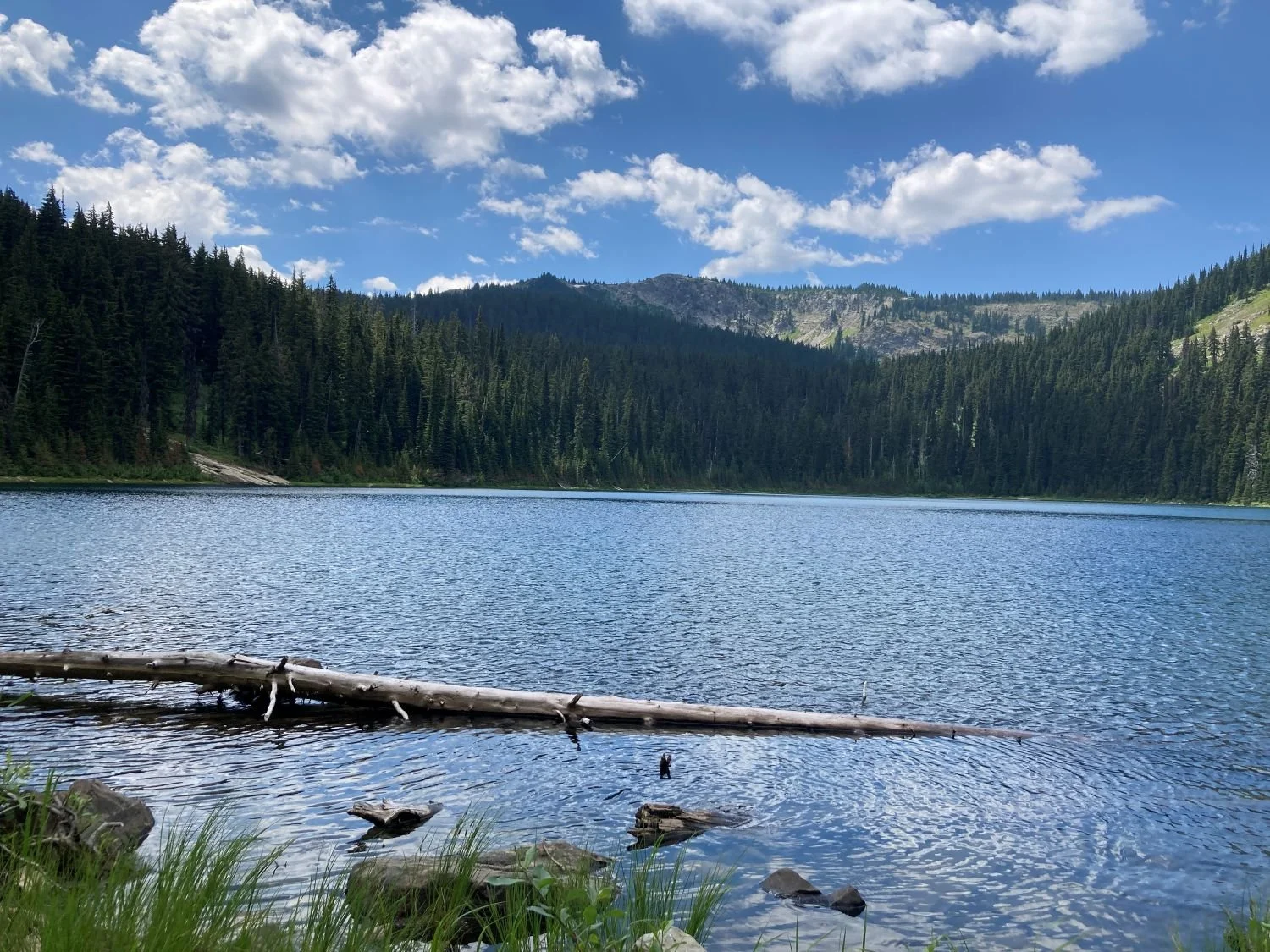 Hike Thompson Pass