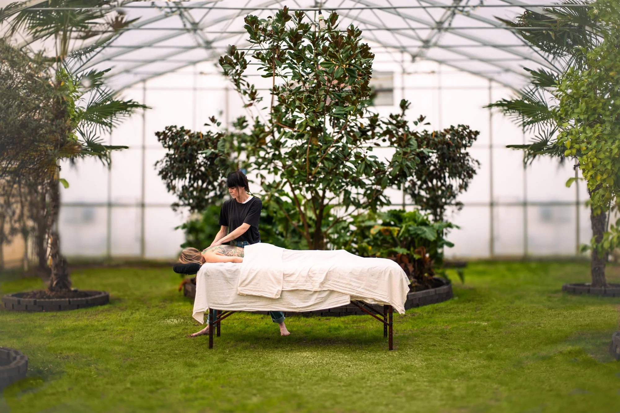 A person giving a massage on a massage table in a greenhouse surrounded by lush green plants and trees.