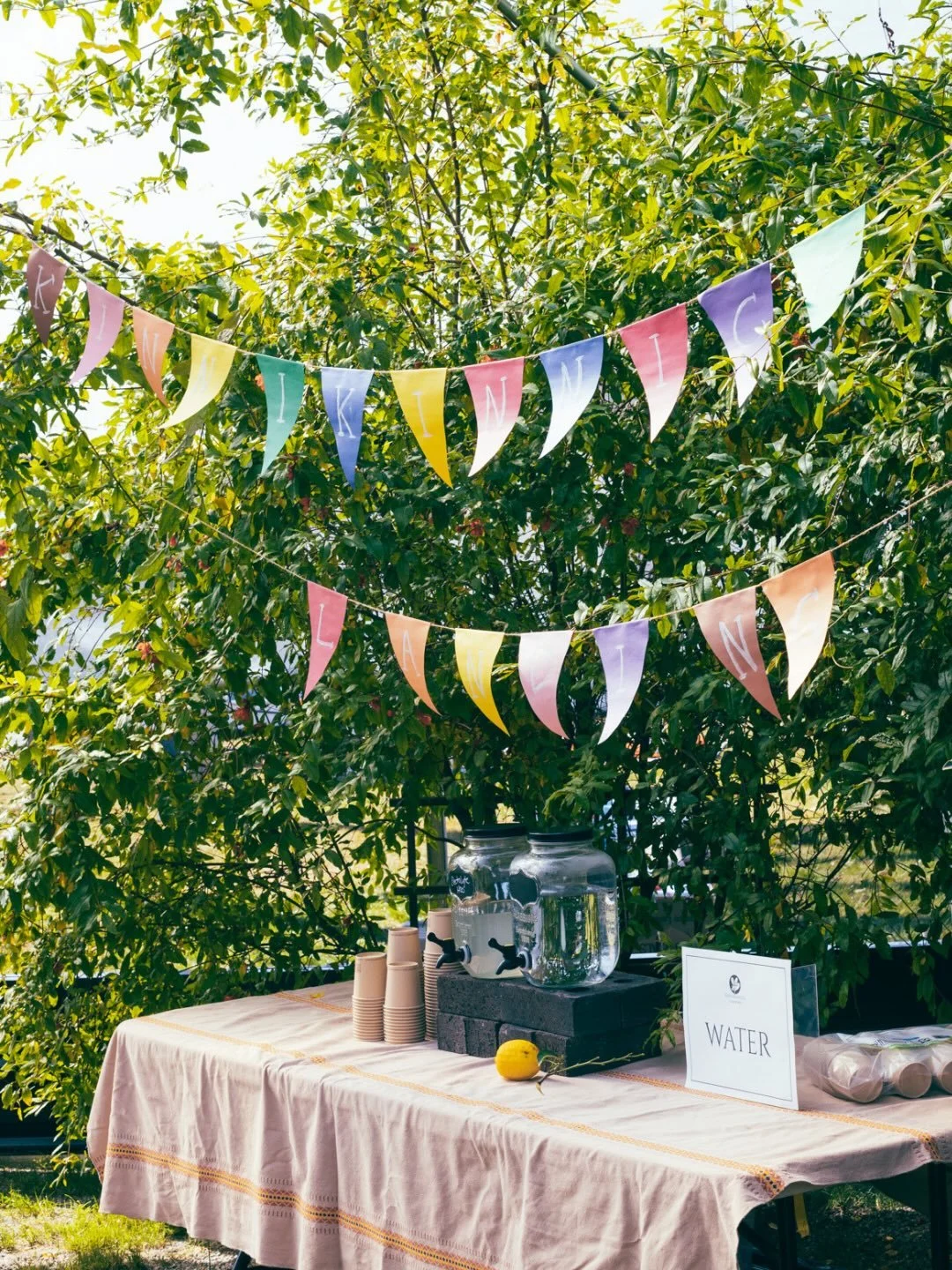 Citrus Celebration 🍋 Our first public gathering, with the gates open!

A day shaped by sweet moments of hands in the soil, shared tables, kids learning, citrus passed around, and time spent together on the land.

It felt like a new season beginning,