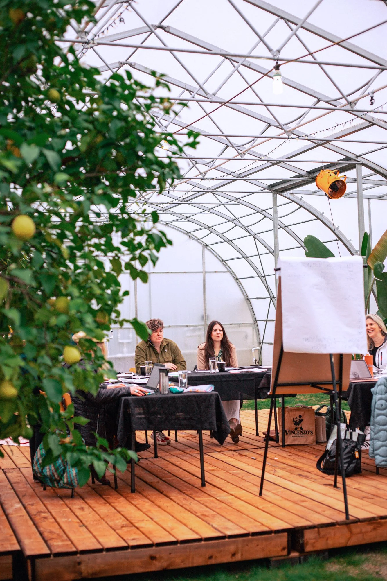 A group of four people sitting at tables in a greenhouse or conservatory, with a dry erase board and a large apple tree or lemon tree in the foreground.