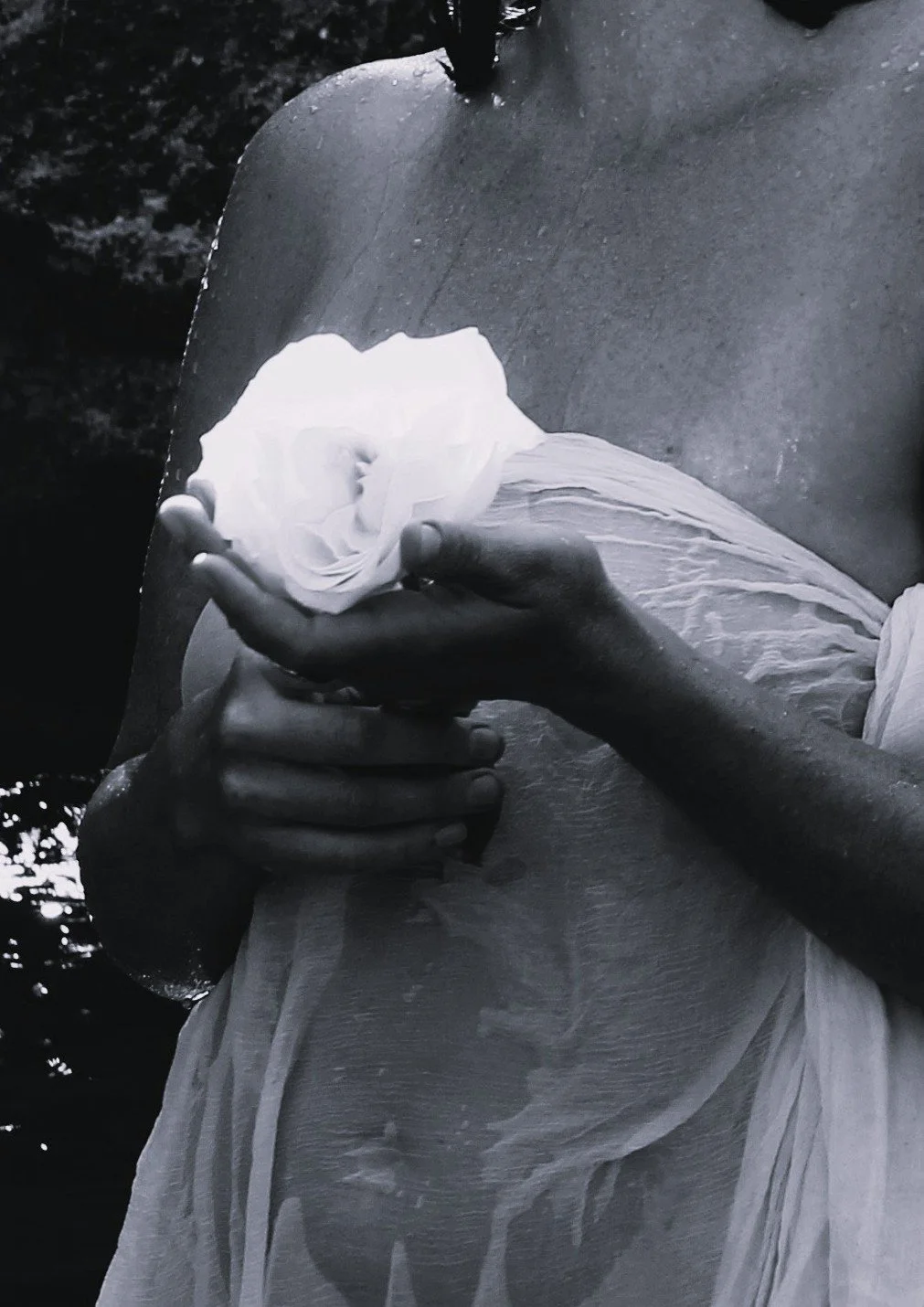 BODY of the ROSE Somatic Ceremony
