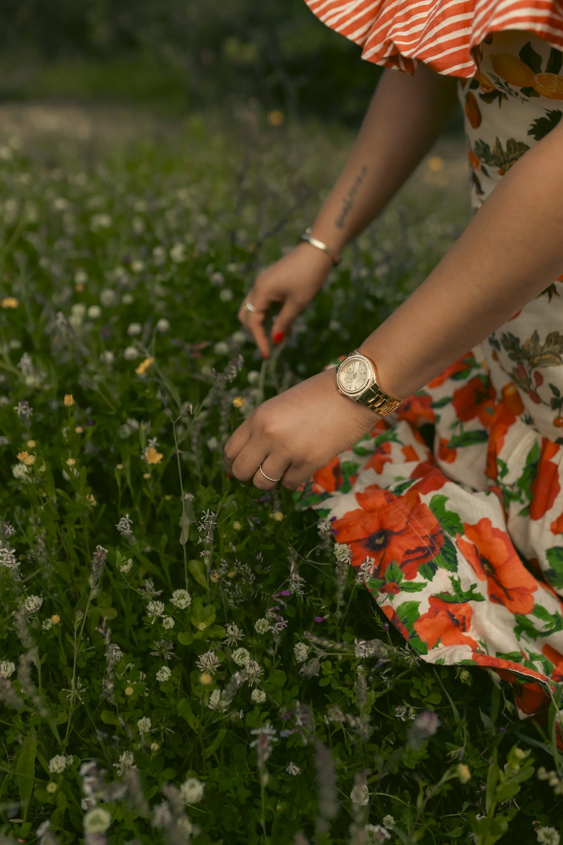Person with painted nails, wearing a watch and rings, kneeling in a field of small blooming flowers