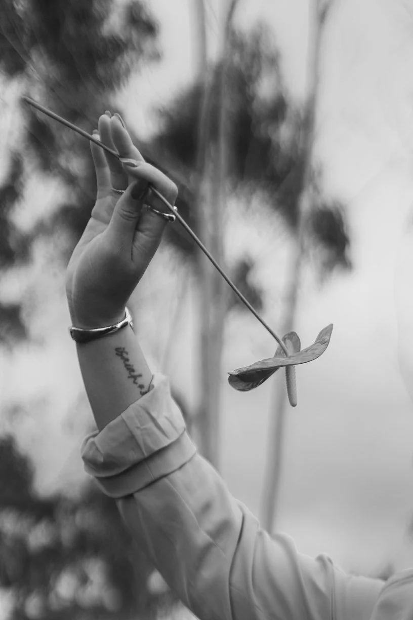A person's hand holding a dandelion seed with a leaf and stem, outdoors with trees in the background.