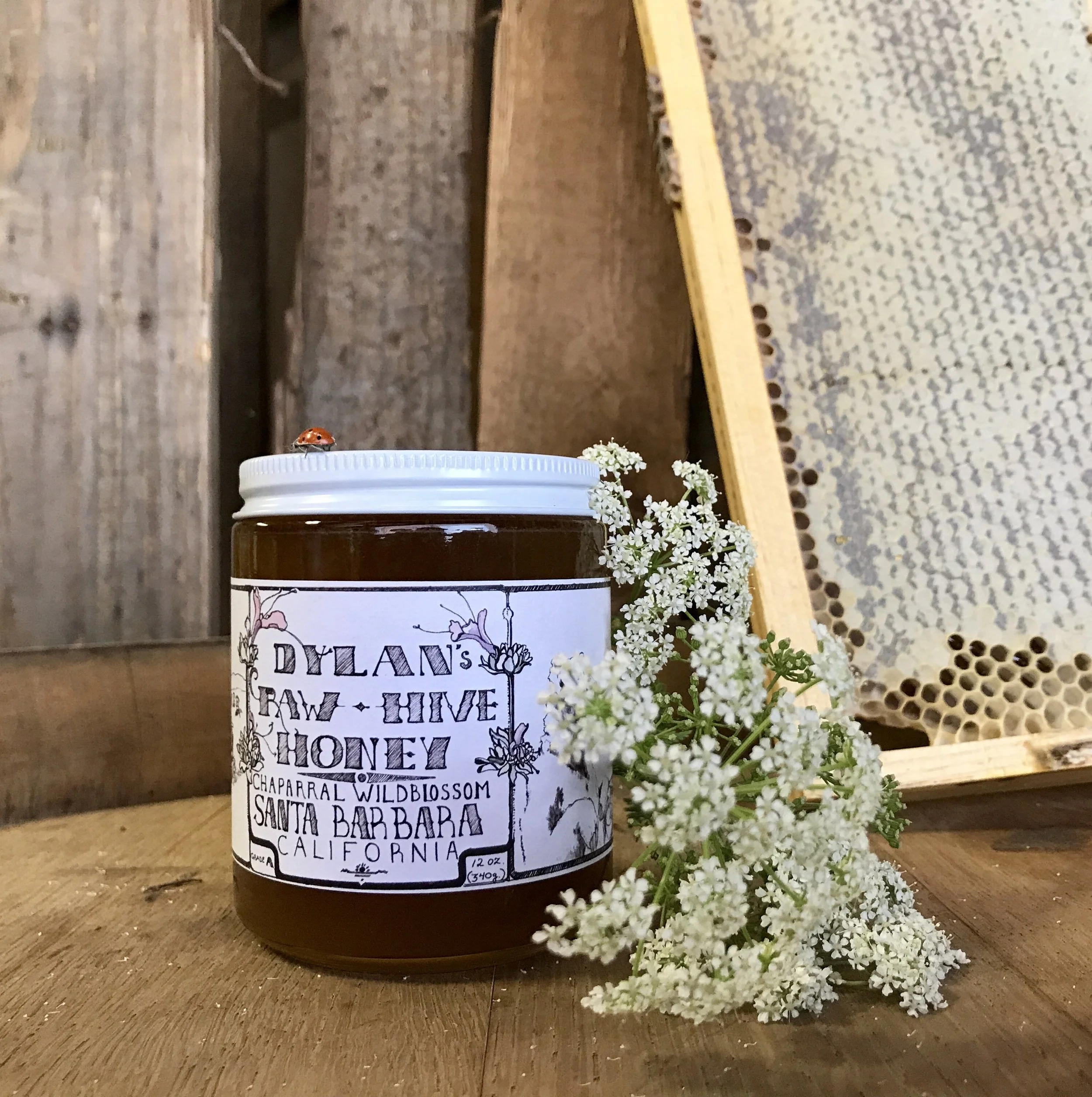 A jar of Dilan's raw hive honey labeled as Santa Barbara, California, with a small ladybug on top of the jar's white lid. Next to the jar is a small cluster of white flowers on a wooden surface. In the background, there's a wooden wall and a frame with a honeycomb pattern.