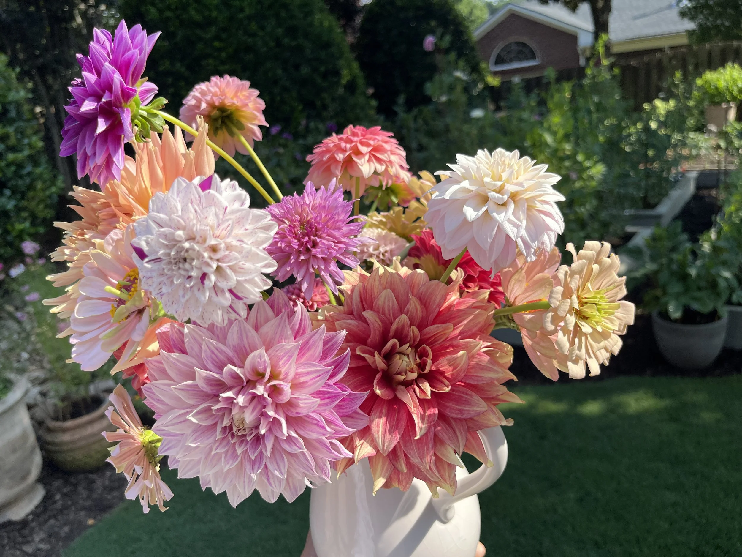 June: Field Notes from Pepperwood Petal