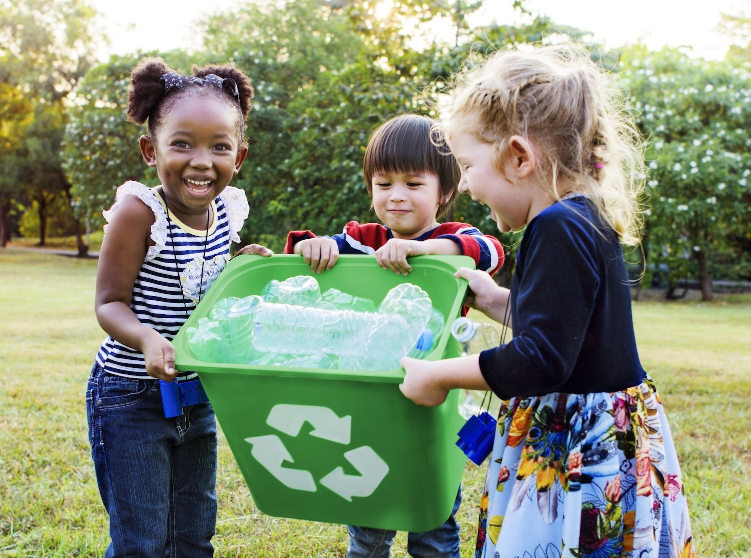 Environmental wellness