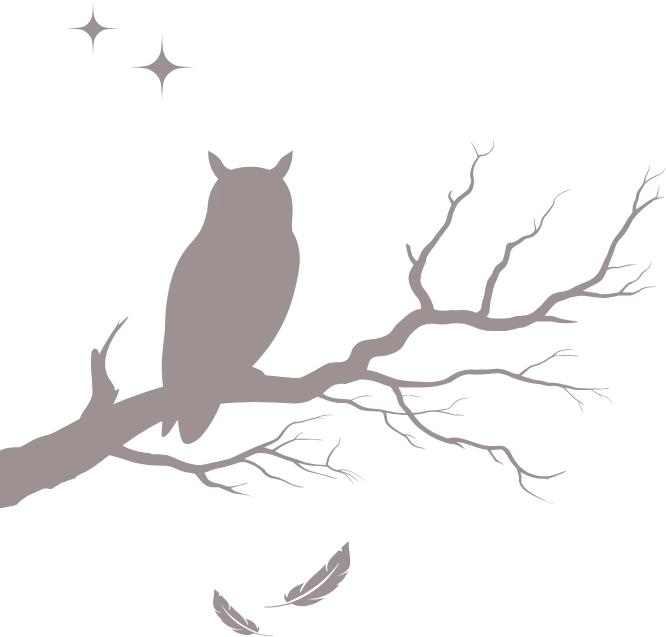 Silhouette einer Eule auf einem Ast