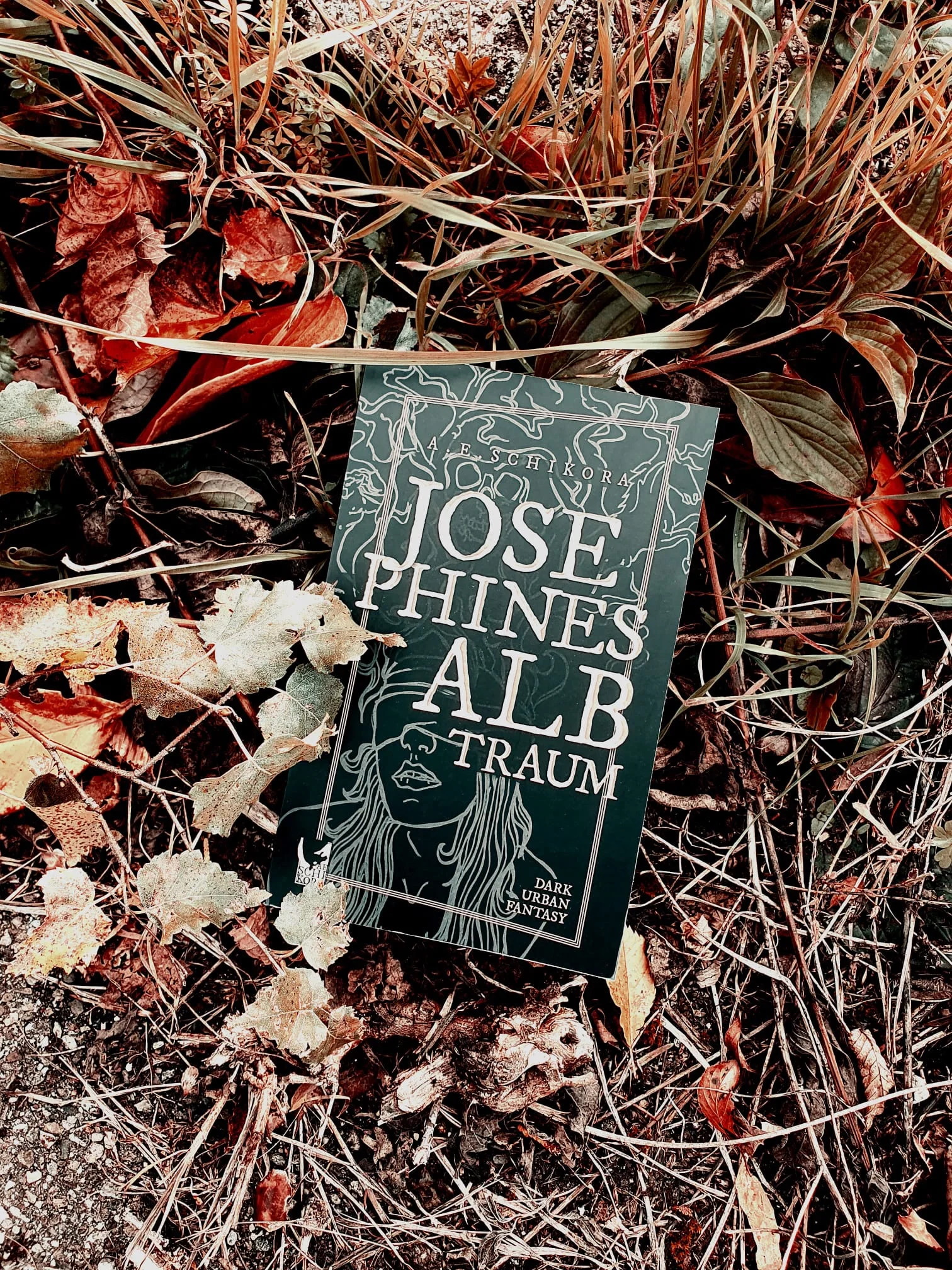 Buch "Josephines Albtraum" inmitten von Herbstblättern