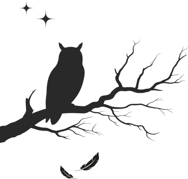 Silhouette einer Eule auf Ast