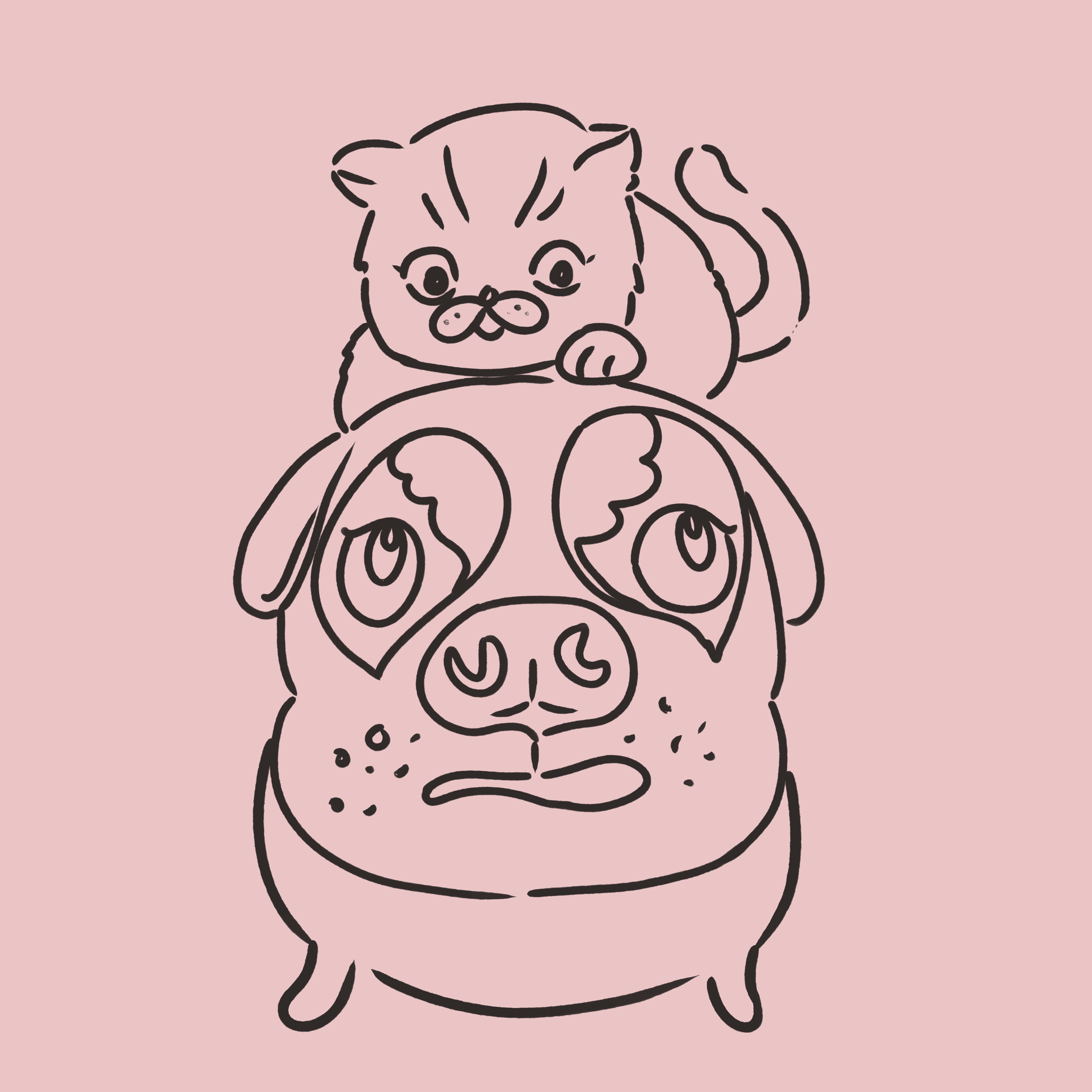 未命名作品 (1).png
