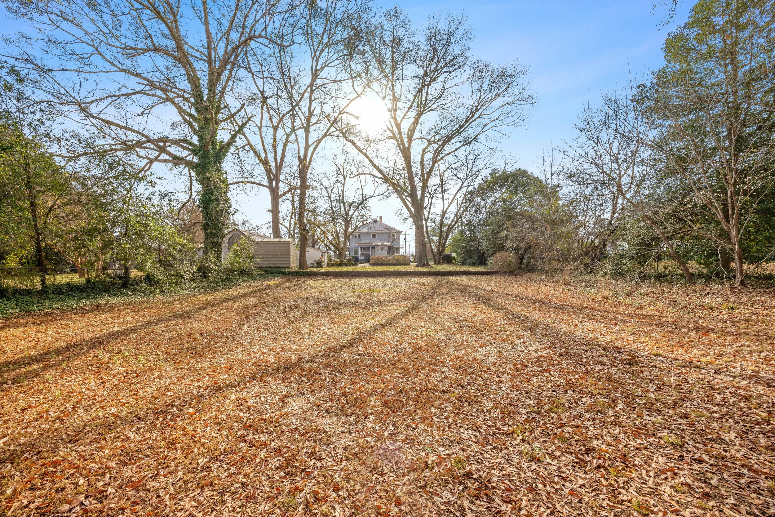 A large backyard with a house in the distance, tall trees with mostly bare branches, a blue sky, and the sun shining behind the trees. The ground is covered with fallen leaves.