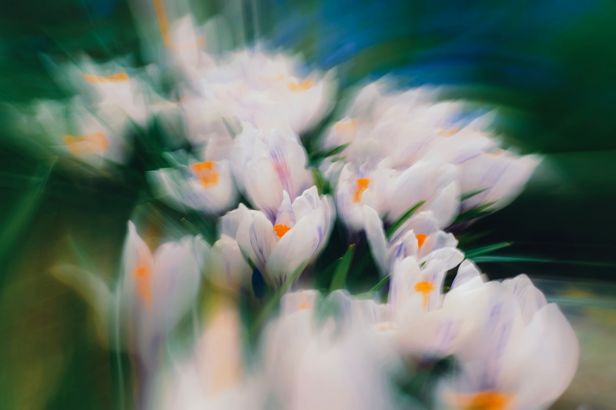 DBT for Complex Trauma: What It Is and How It Helps