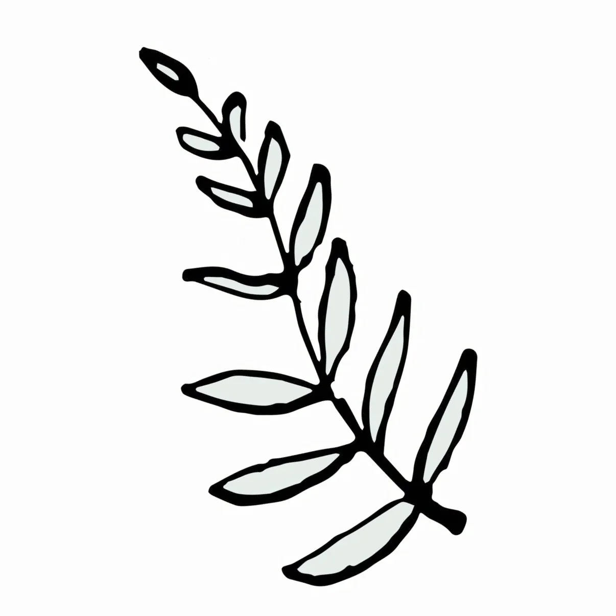 Black outline drawing of a sprig with elongated leaves against a white background.