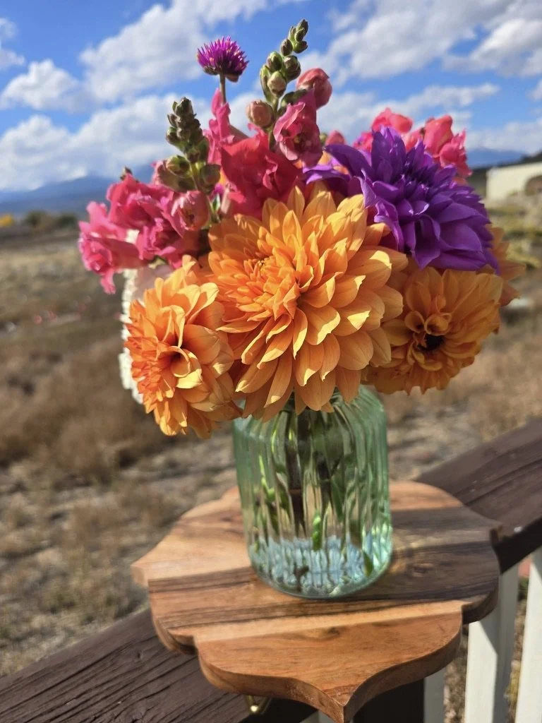 Grown Here not Flown Here! Cherokee Bloom. Salida Colorado 