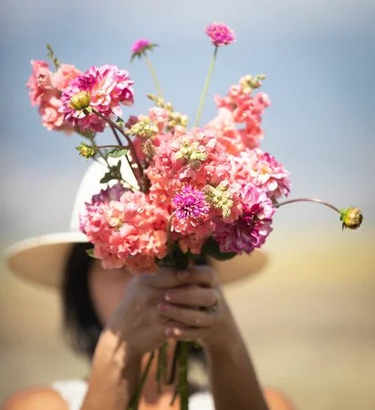 Person holding a bouquet of pink and purple flowers with a clear sky background.