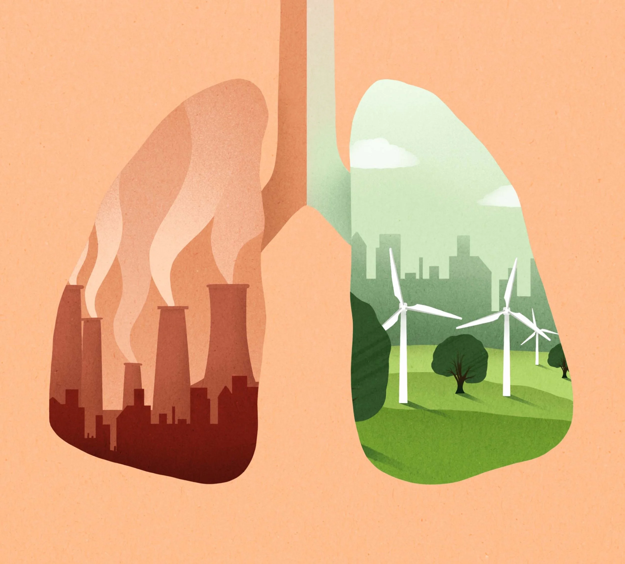 The Lancet - test work