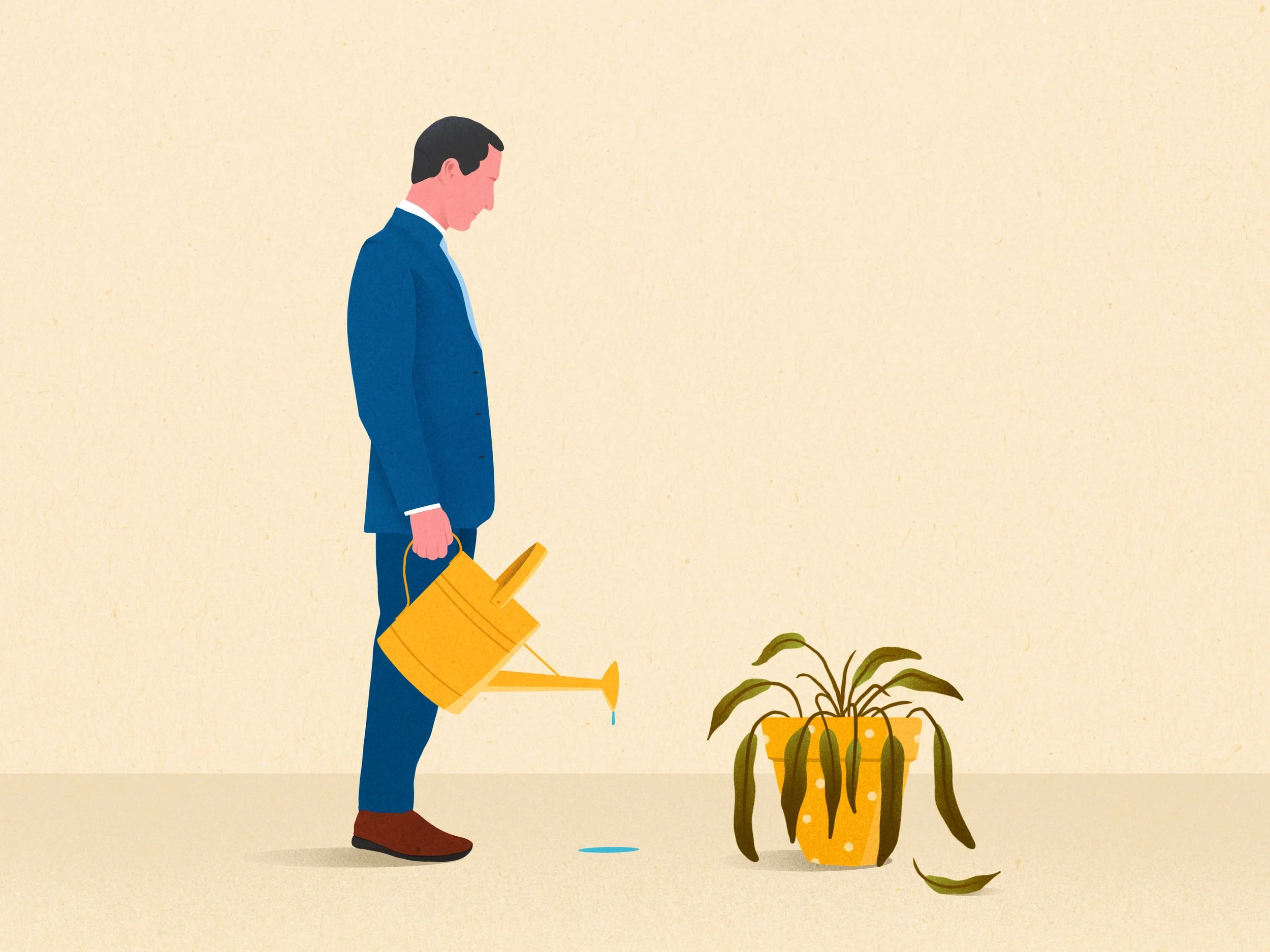 The Wall Street Journal  Why new businesses fail