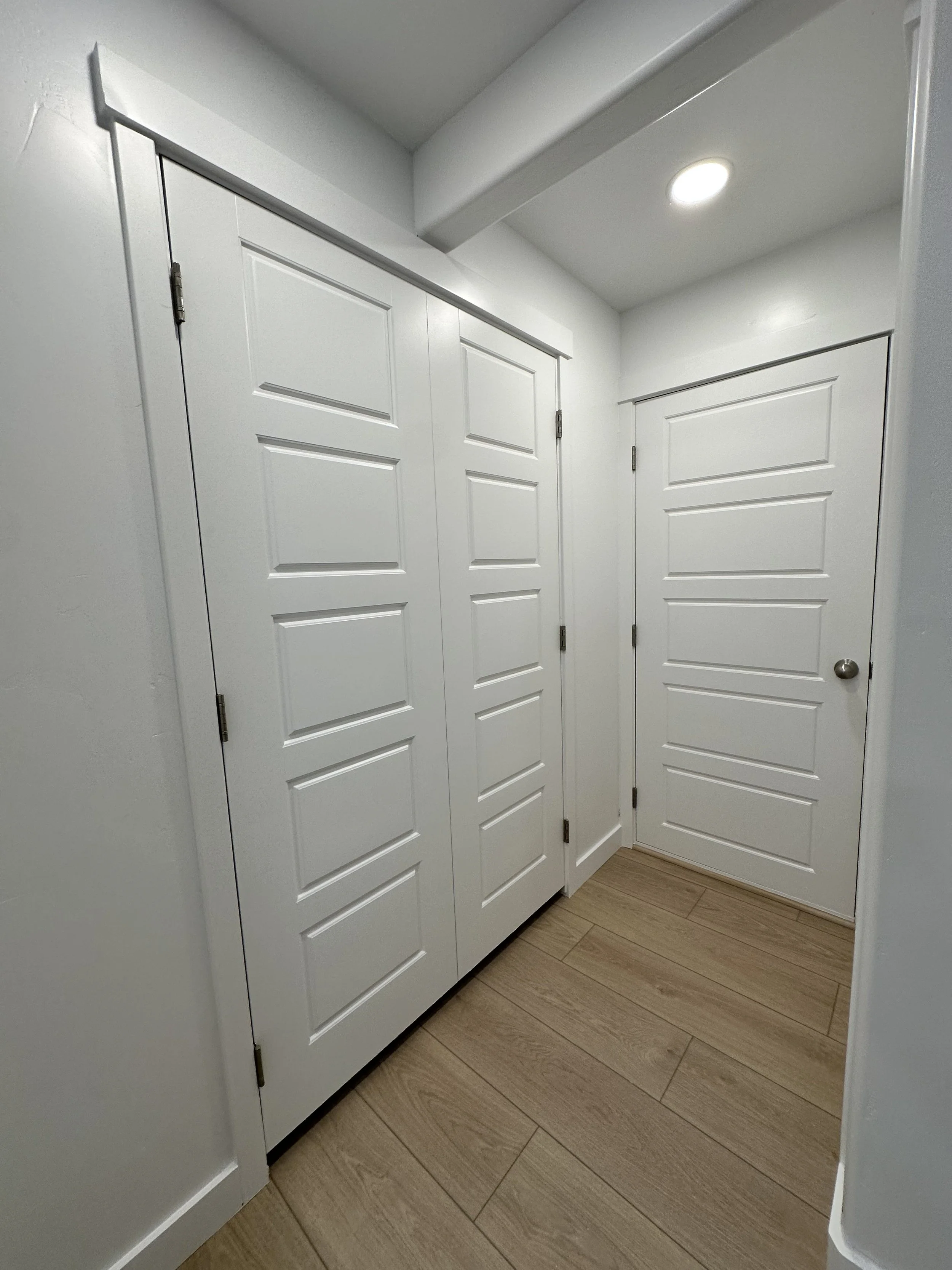 Basement doors painting