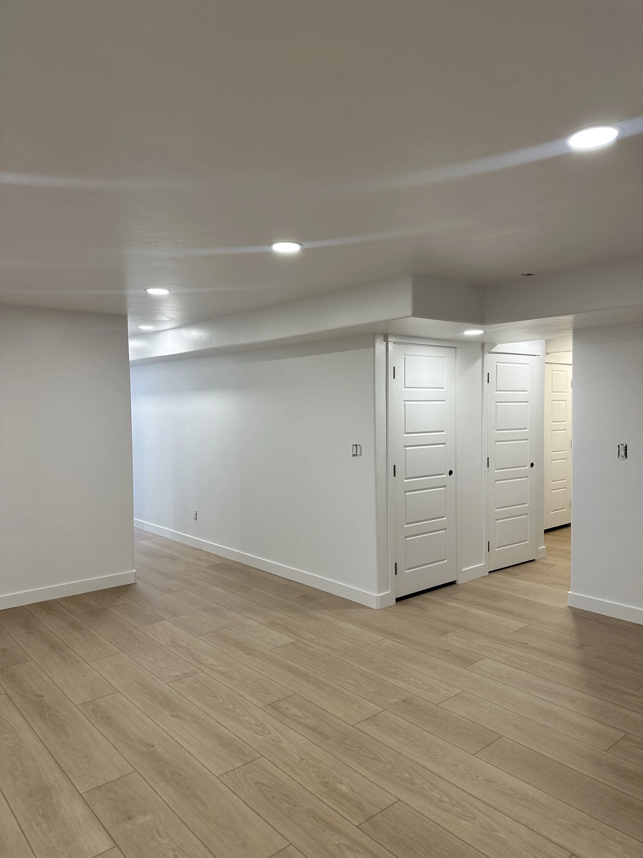 Basement lighting and flooring
