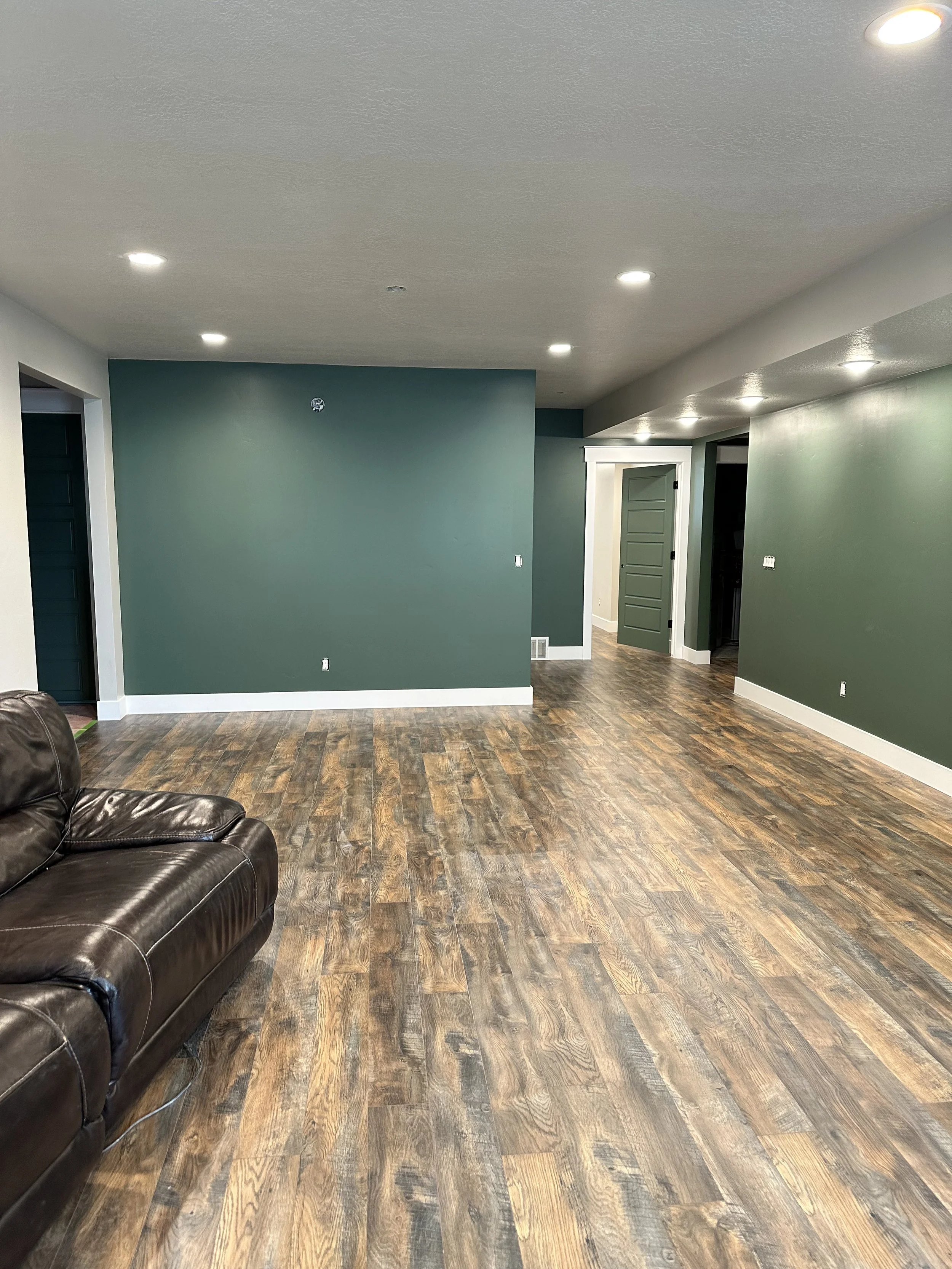 Basement living room