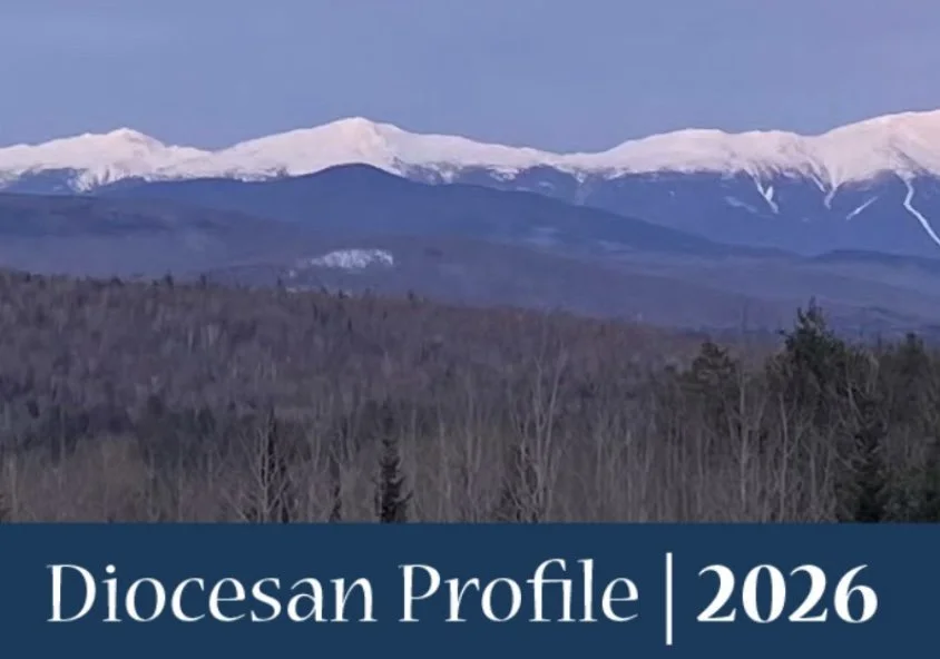 Diocesan Profile—Published 