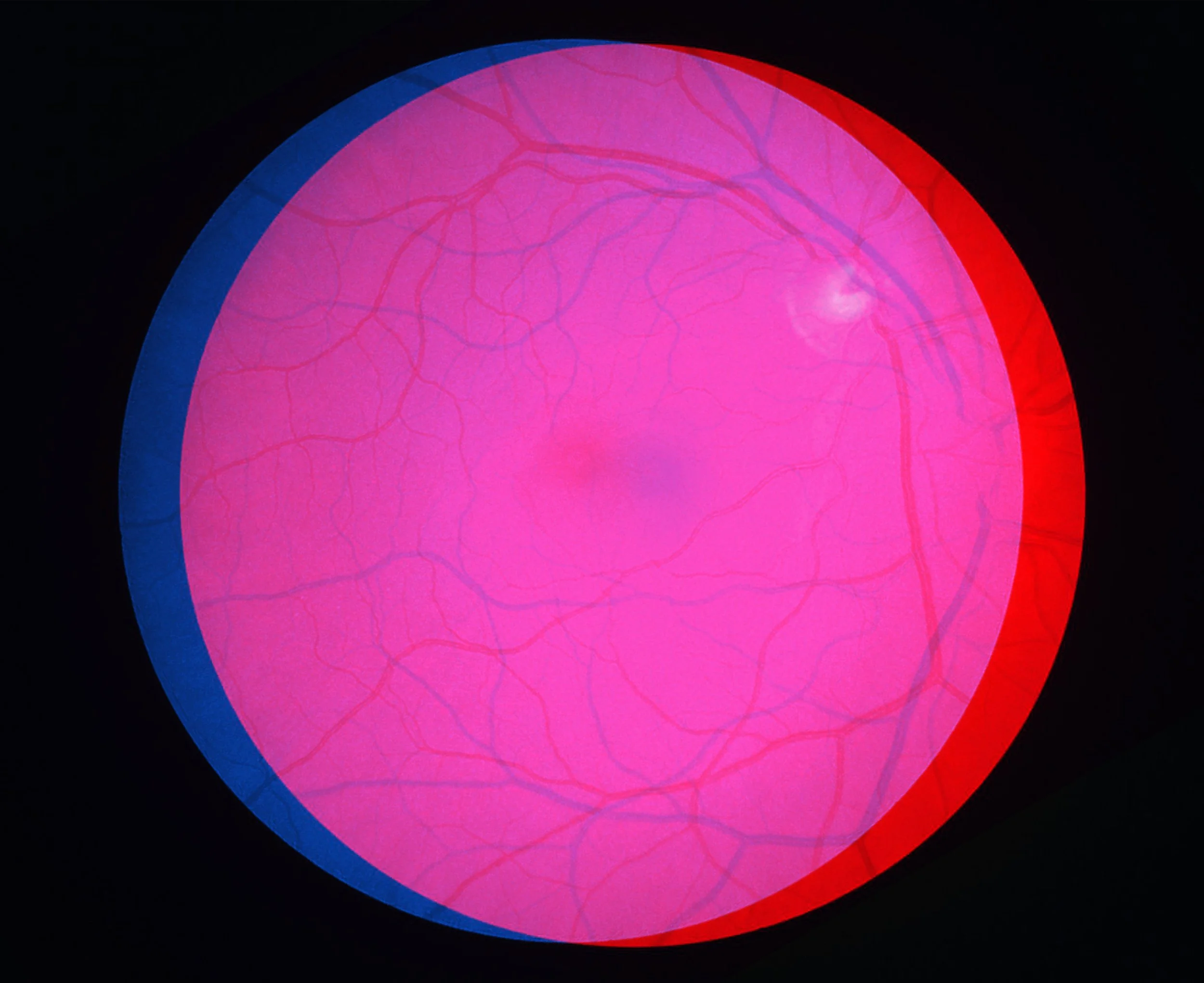 Rafael Adorján - KIASMA_02_op_1.jpg