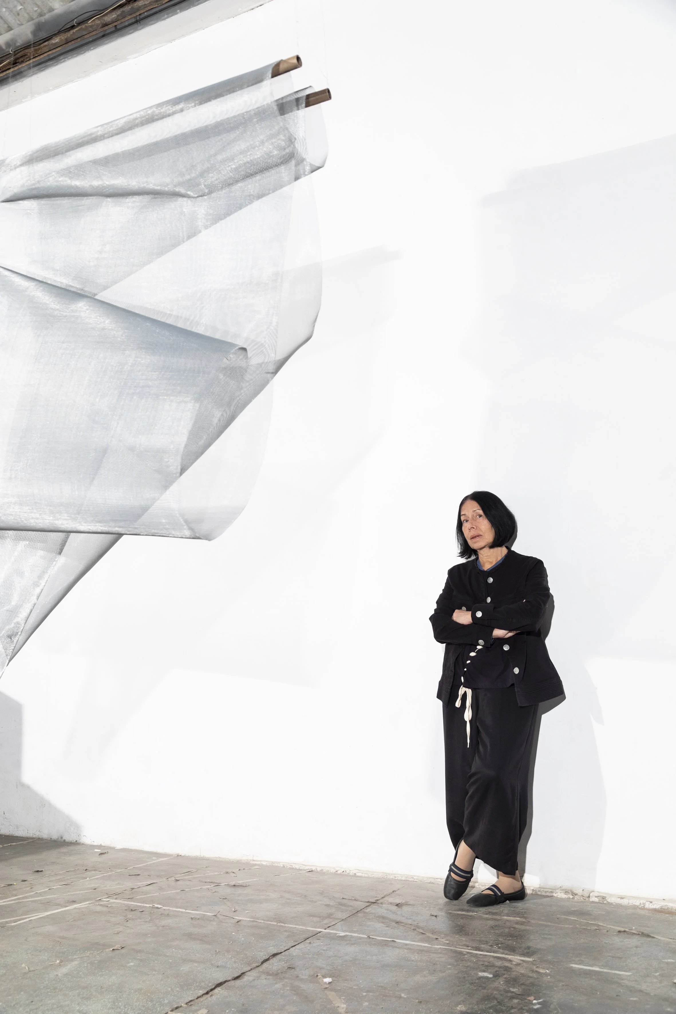  Iole de Freitas, 2024 