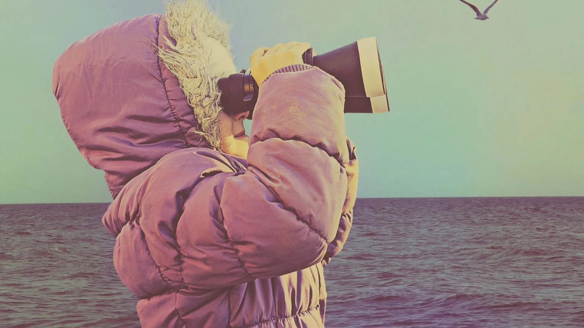 Child wearing a winter jacket and hood, looking through binoculars at the sky over the ocean, with a bird flying in the background.