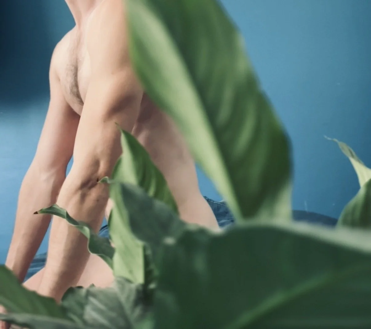 Topless man with blue background and green plant.