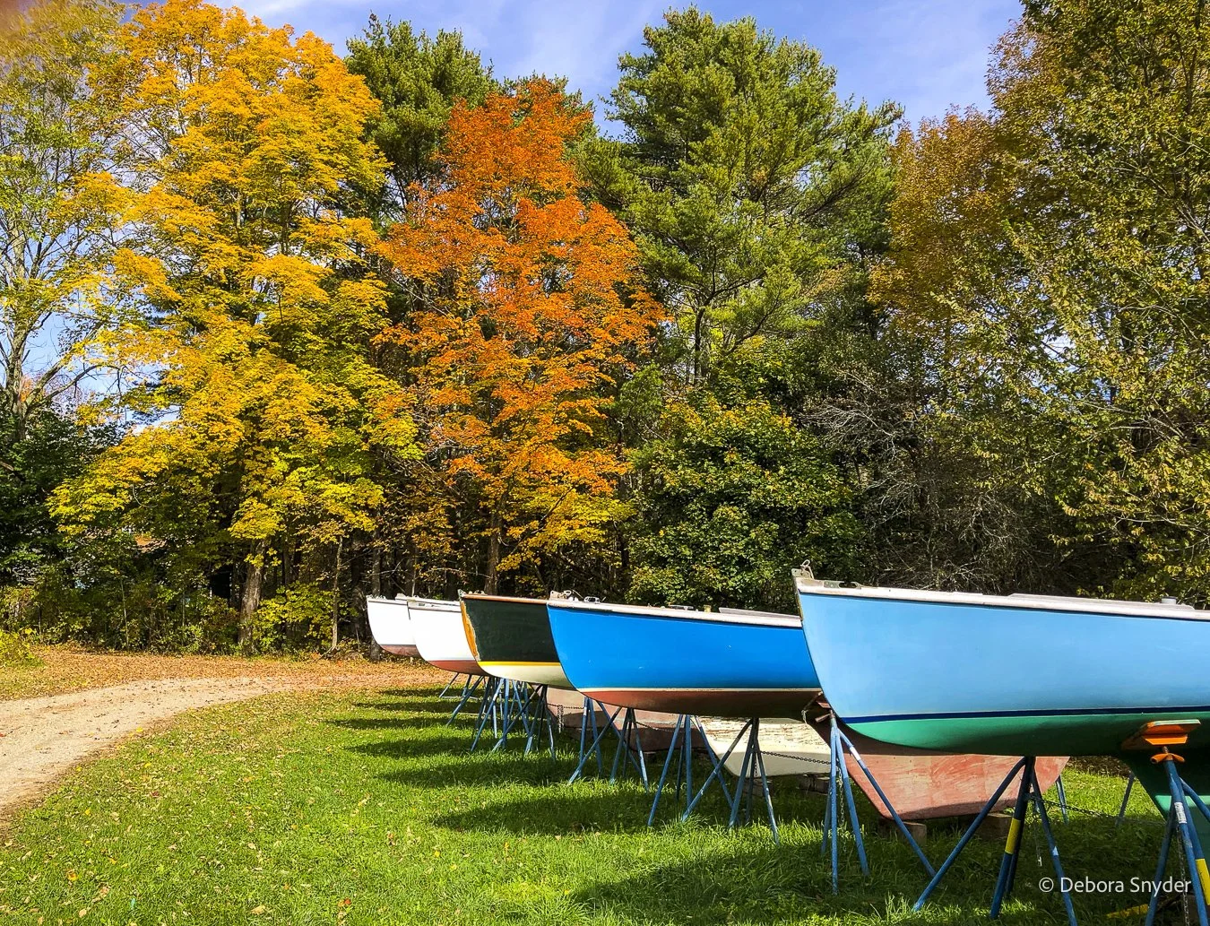 Fall One Designs Sailboats.jpg