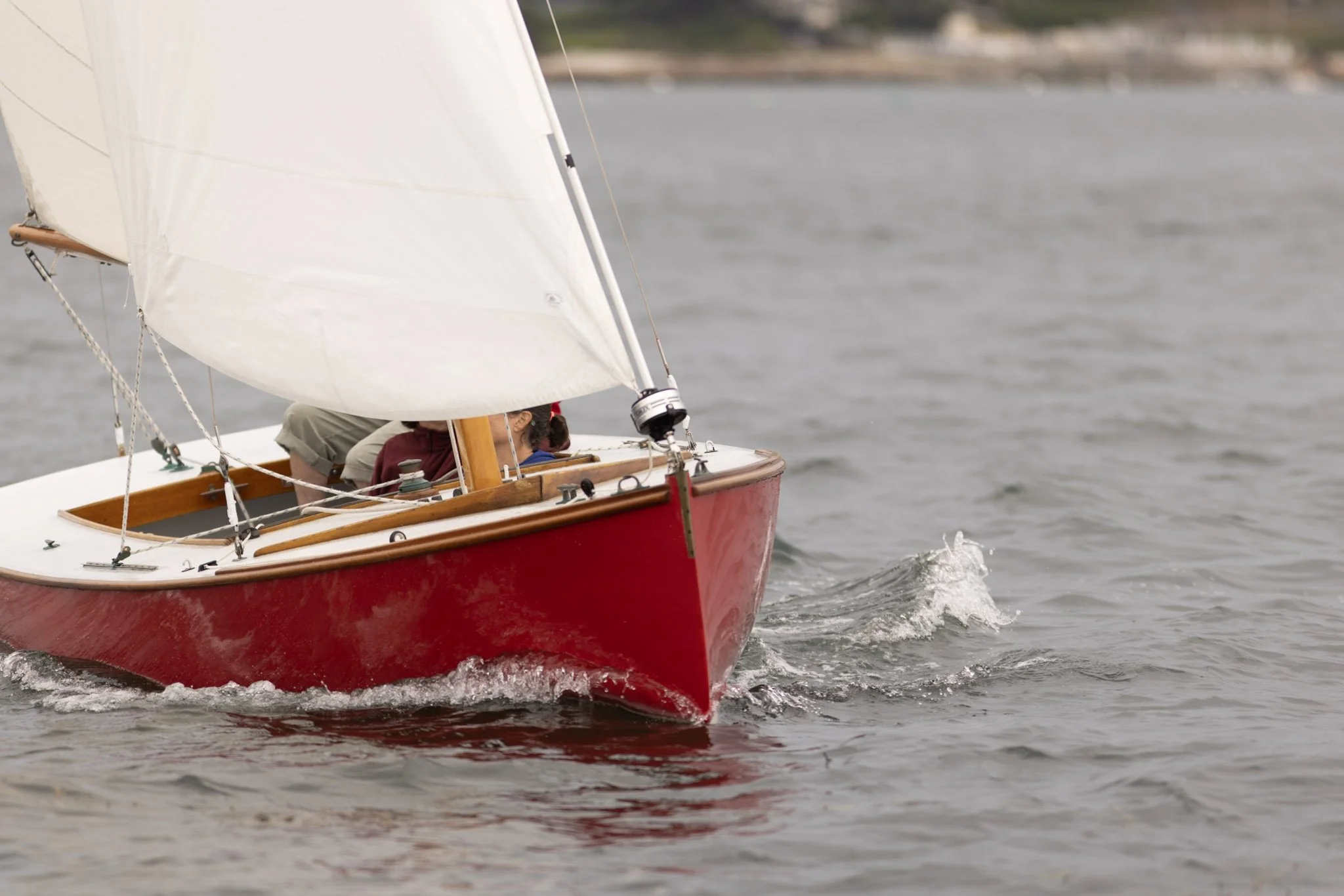 _E7A3310.jpg