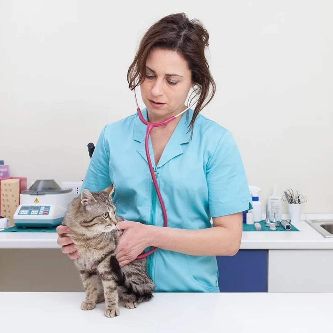 Episode 0: About Jill