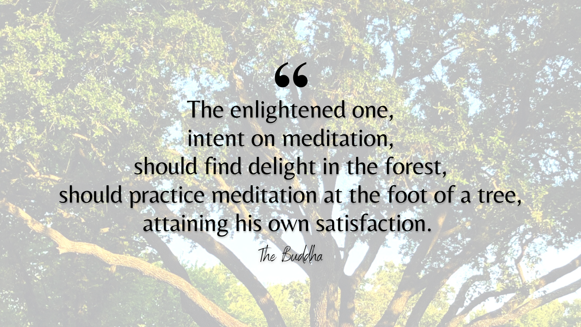 The Connectedness of All Things