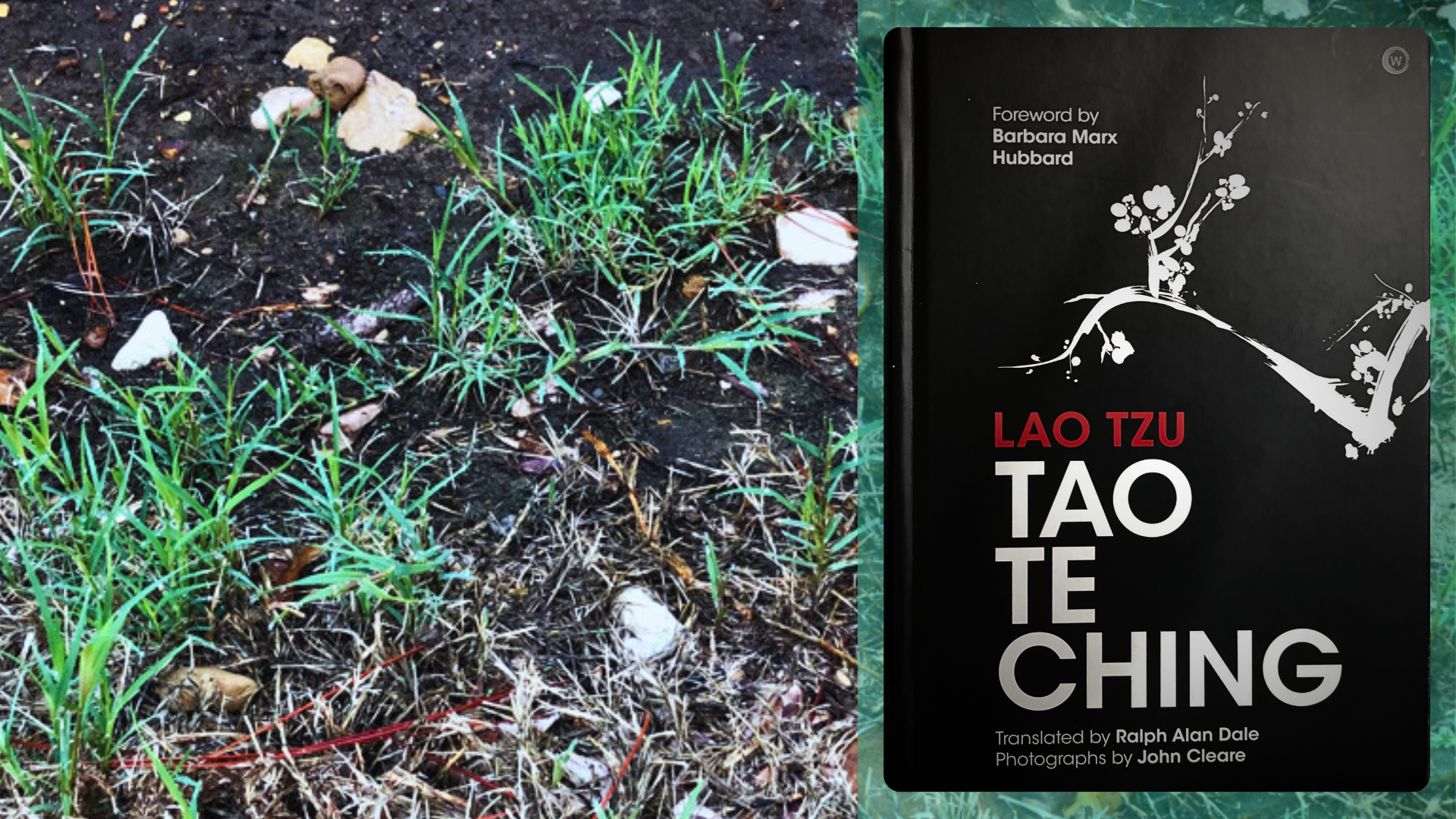 Tao Te Ching and the Spirit of Life