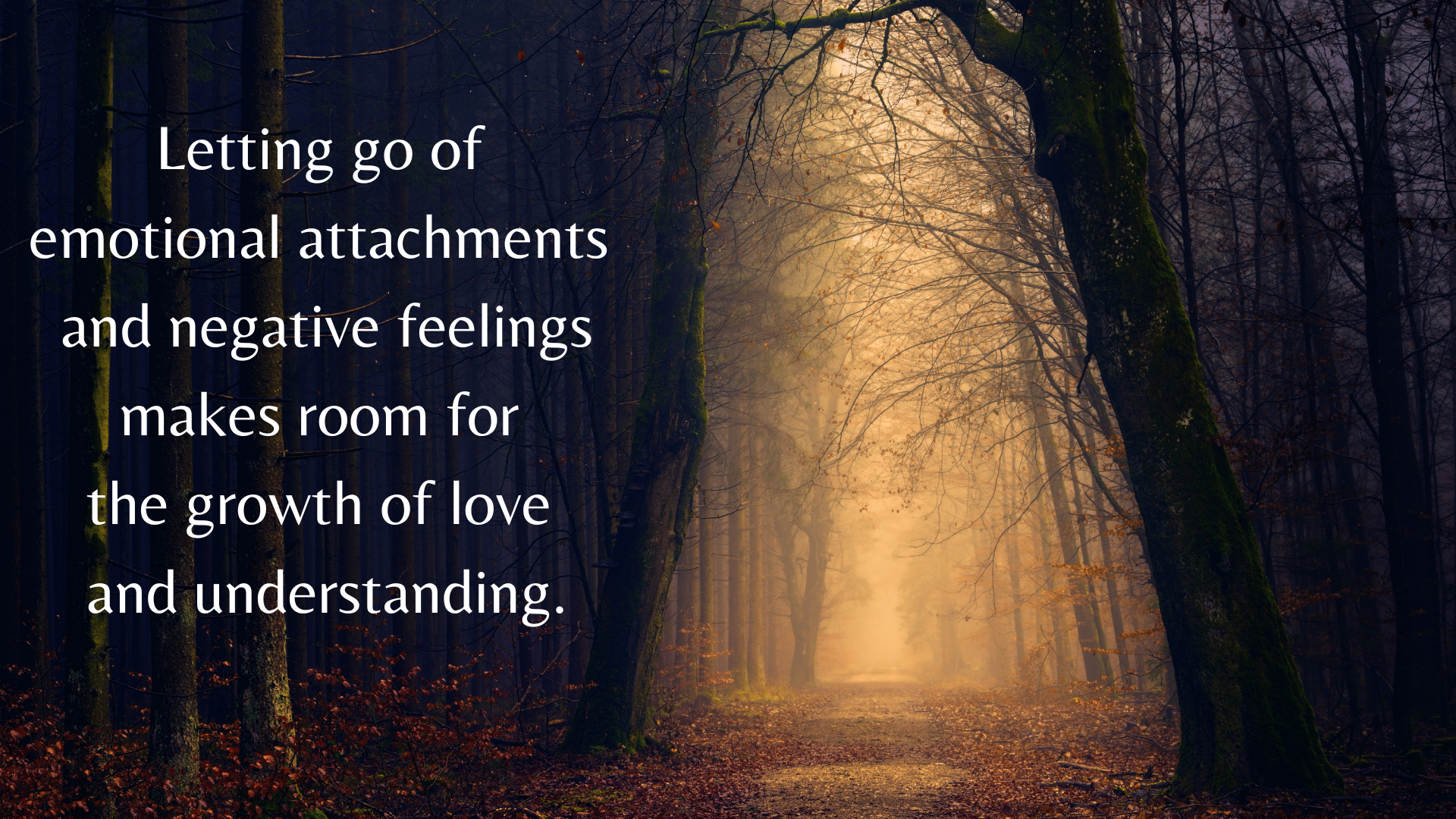 Episode 4: Takeaways from "Letting Go: The Pathway of Surrender" by David R. Hawkins