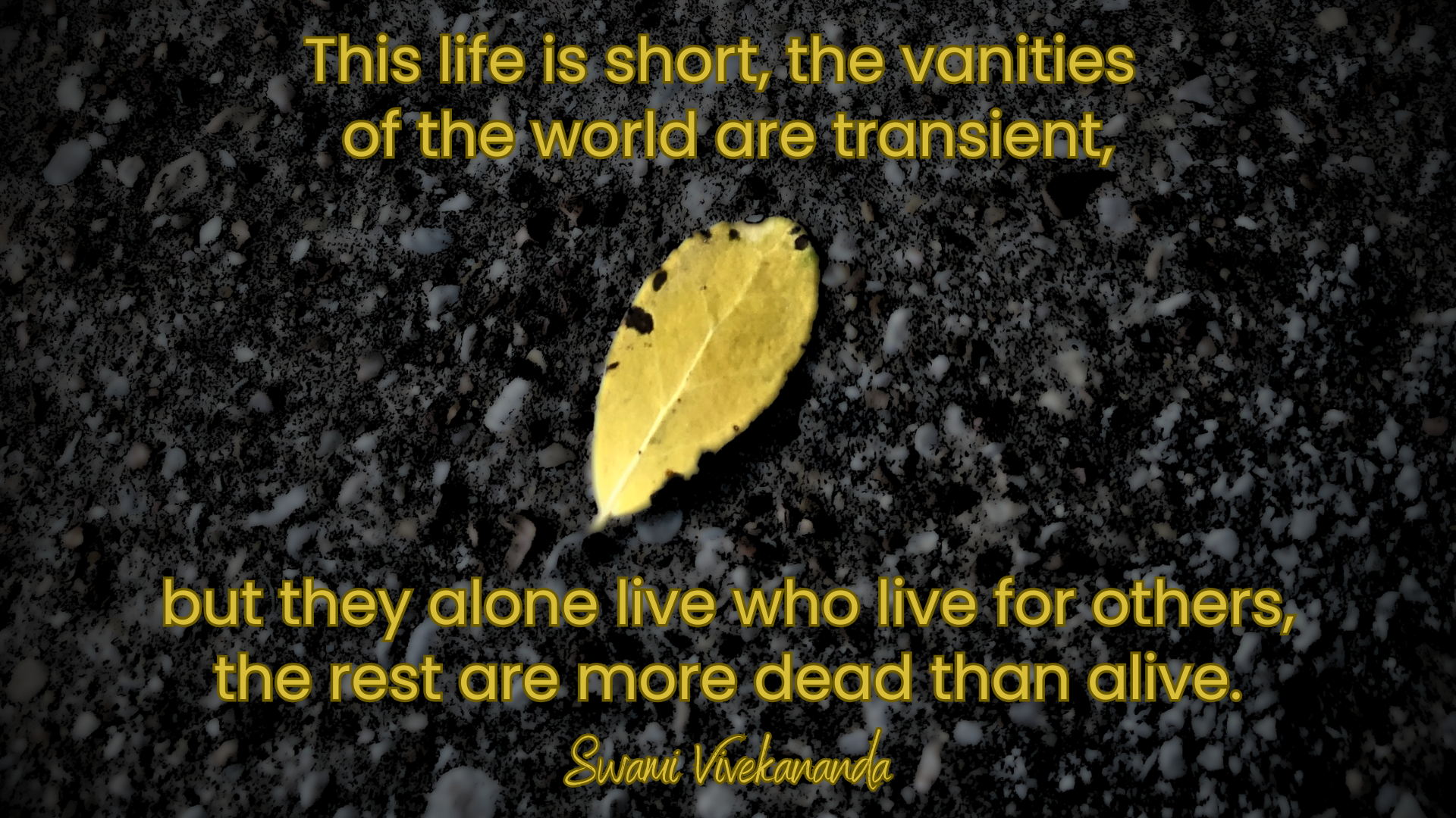 Dark pavement with yellow Swami Vivekananda quote above and below a small, yellow ovate leaf. Quote: This life is short, the vanities of the world are transient, but they alone live who live for others, the rest are more dead than alive.
