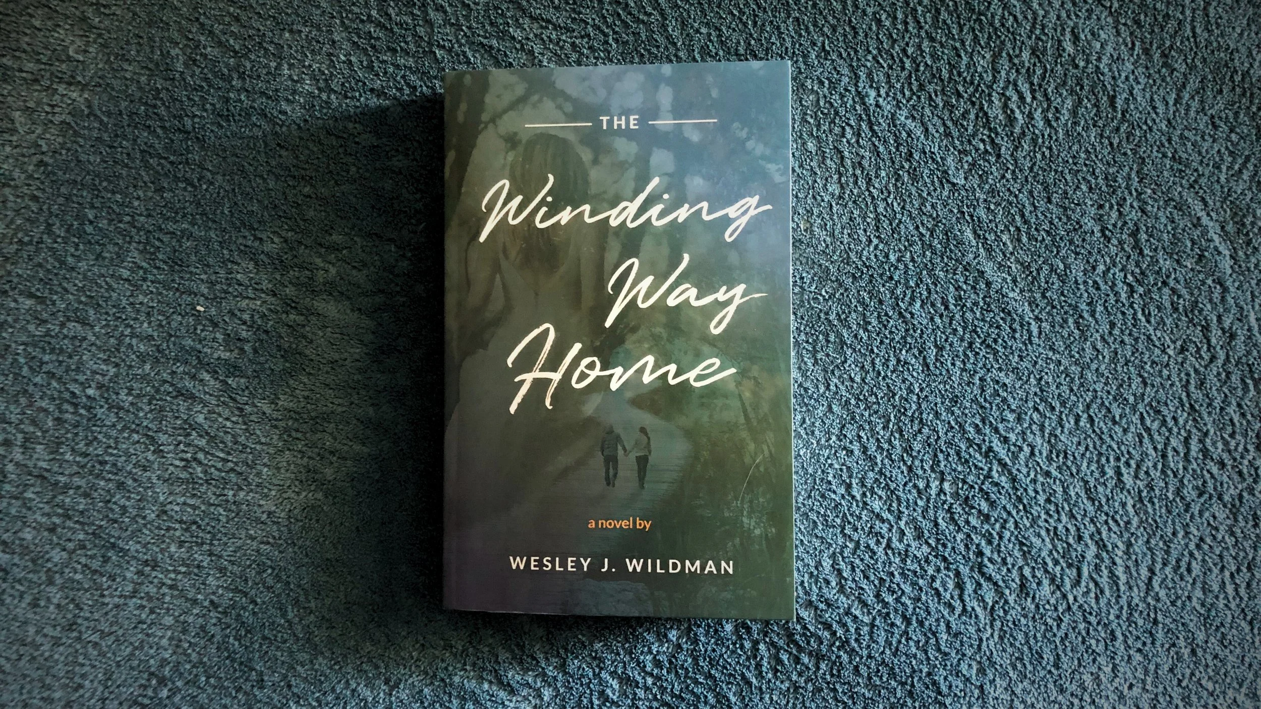 Book cover for the novel by Wesley J Wildman called The Winding Way Home.