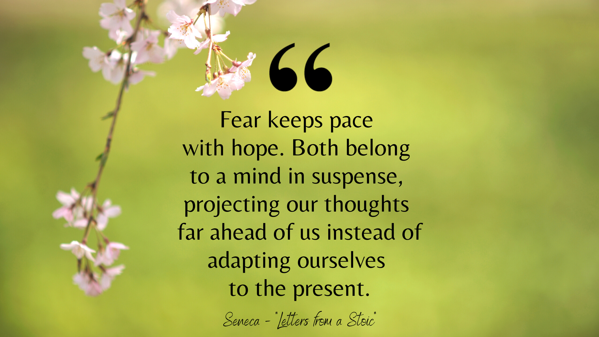 Seneca quote on blurred green background with small pink flowers on left side foreground.