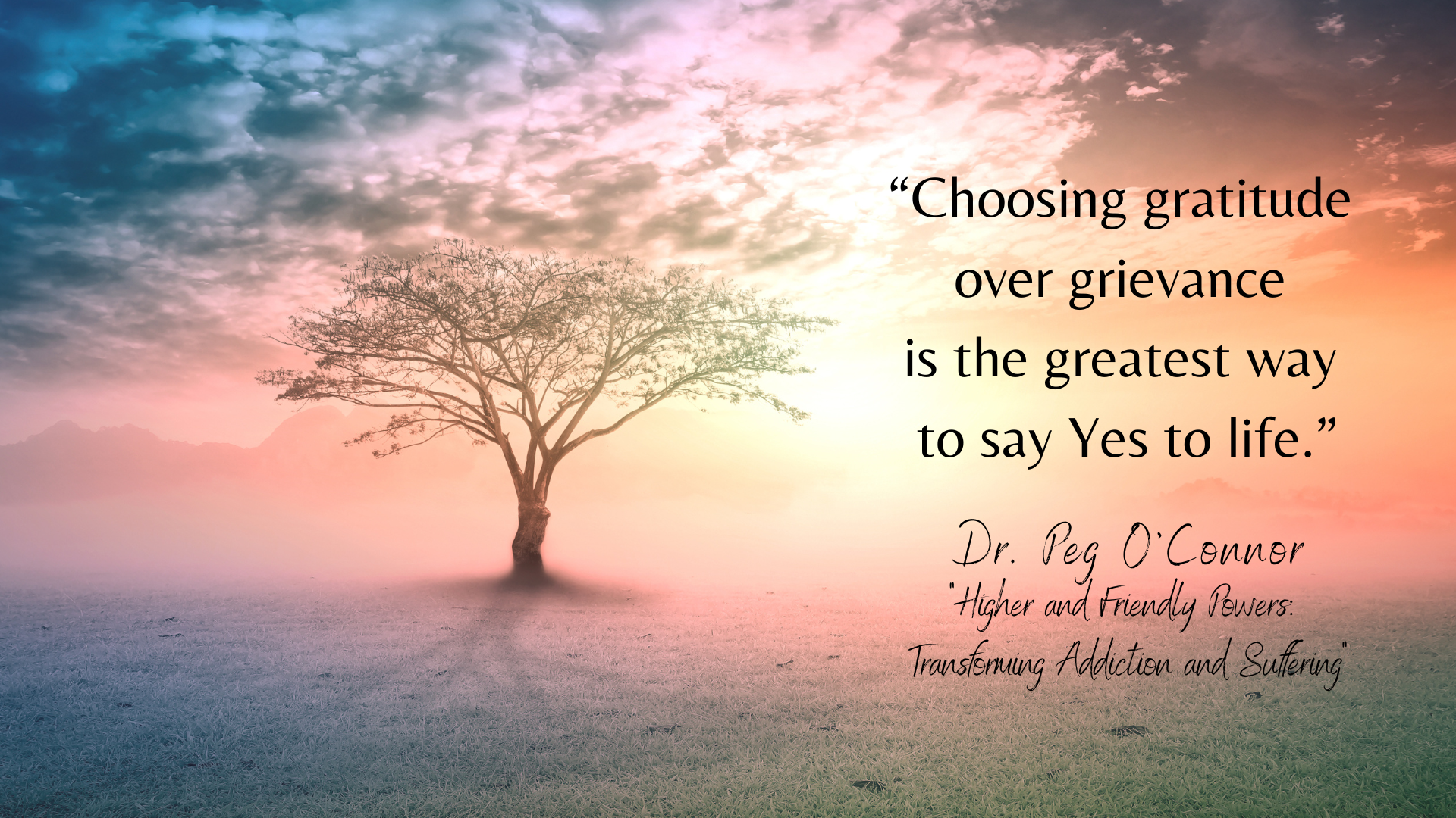 A lone tree silhouetted by a brilliant white/yellow/pink sunset. To the right is a quote from  Dr. Peg O'Connor: Choosing gratitude over grievance is the greatest way to say Yes to life.