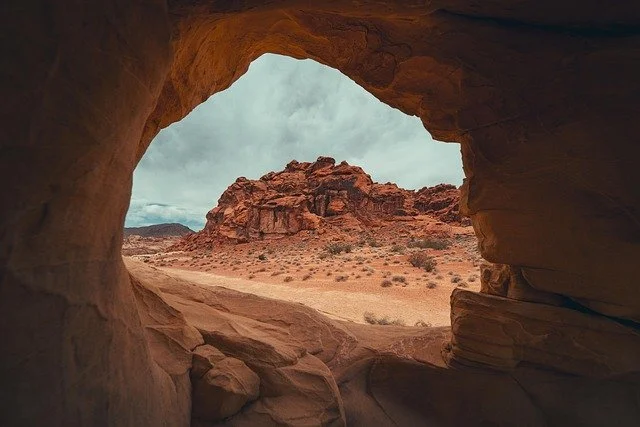 Vision in the Wilderness