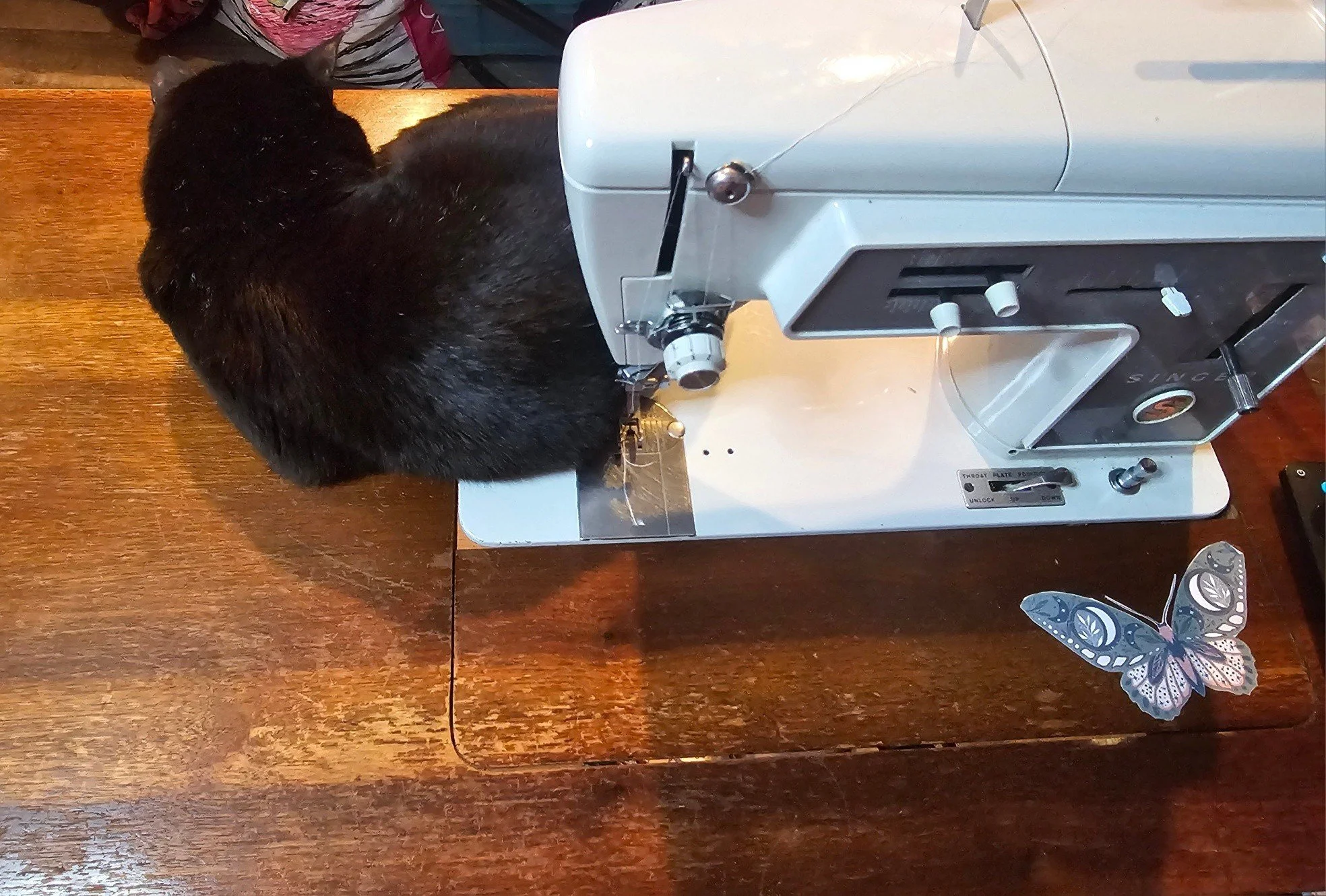 Shes making it a little hard to sew 🤣🐈&zwj;⬛️✨️