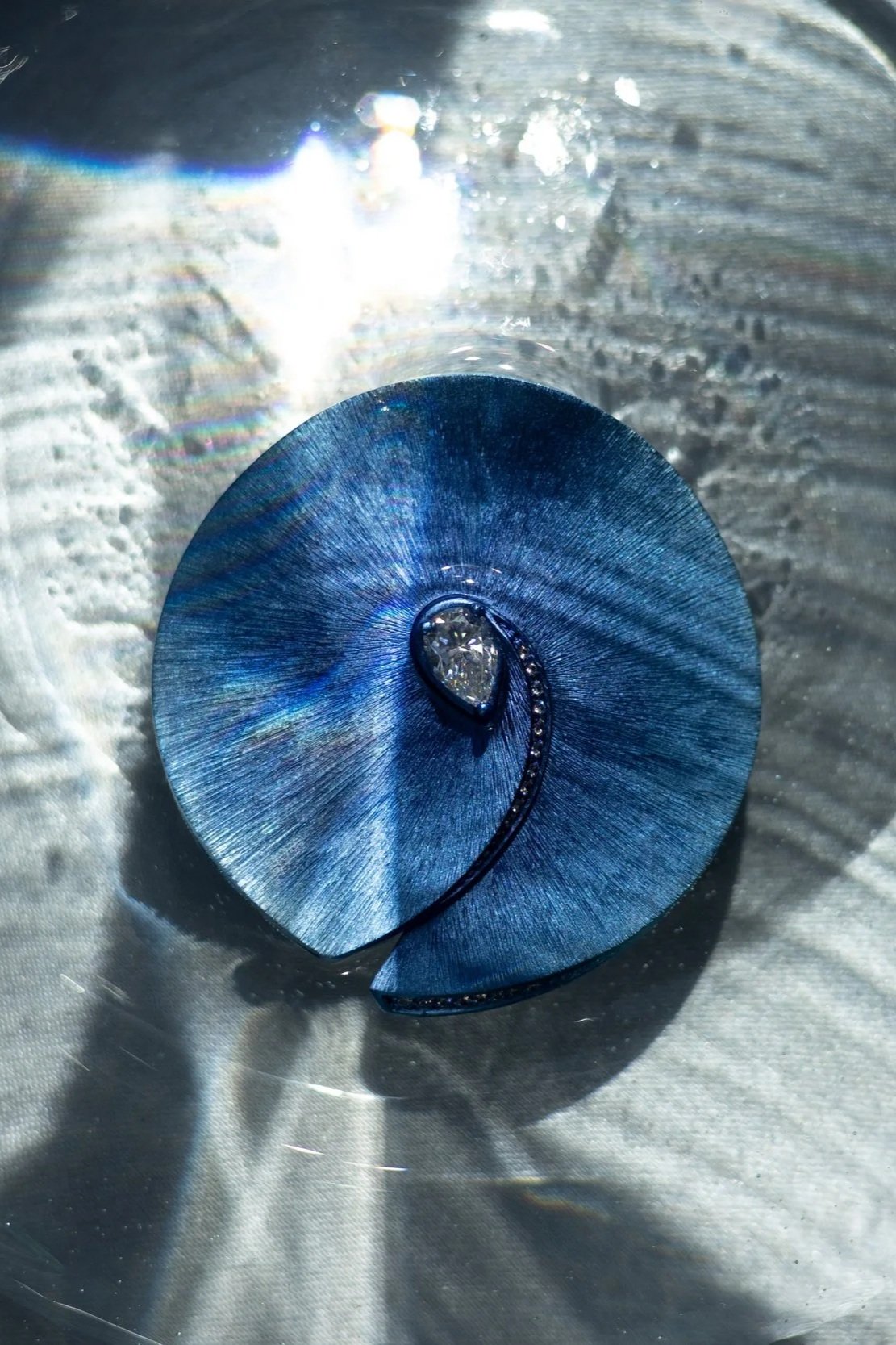 0P8A0579.jpg
