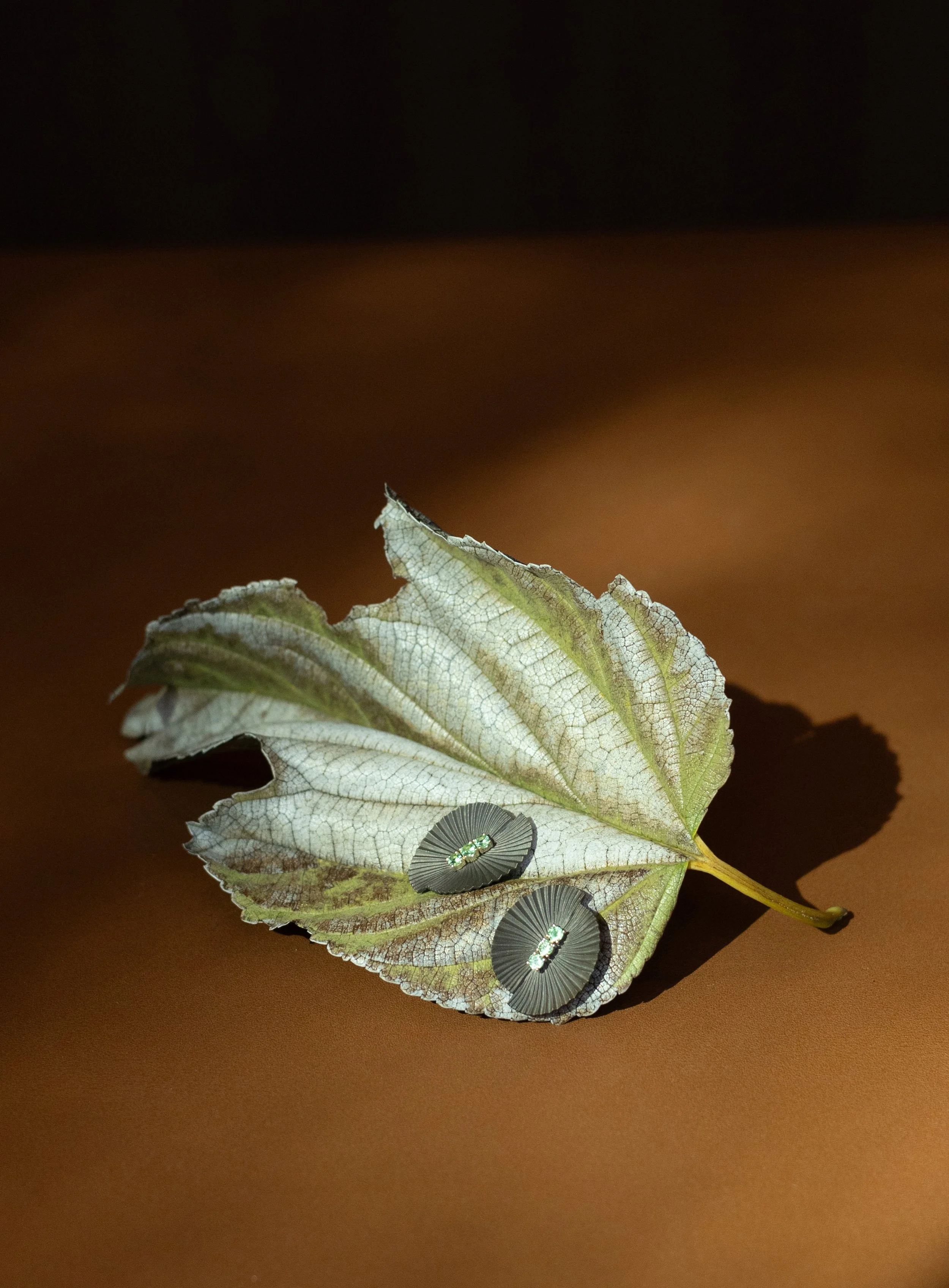 leaf