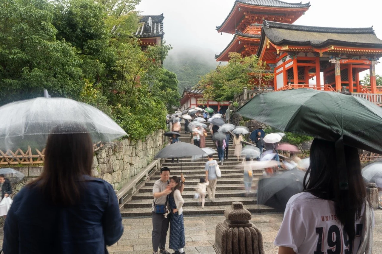 People with umbrellas walking up stone steps to a traditional Japanese temple on a rainy day.