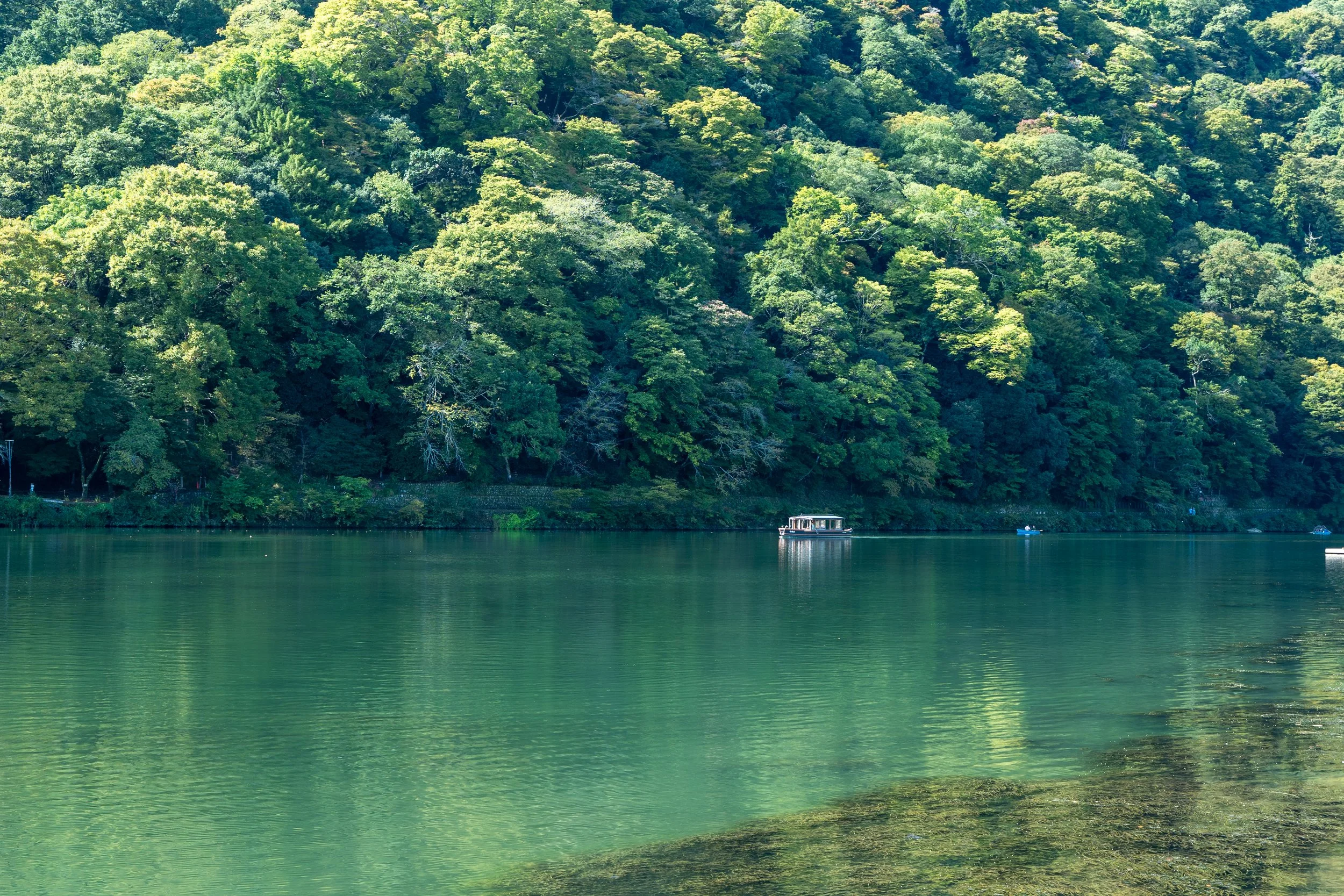 Calm green water with a wooded hillside in the background and a boat floating on the water.