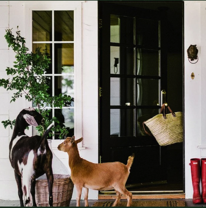 Geometric drawing of an outline square with sections divided by vertical, horizontal, and circle lines.