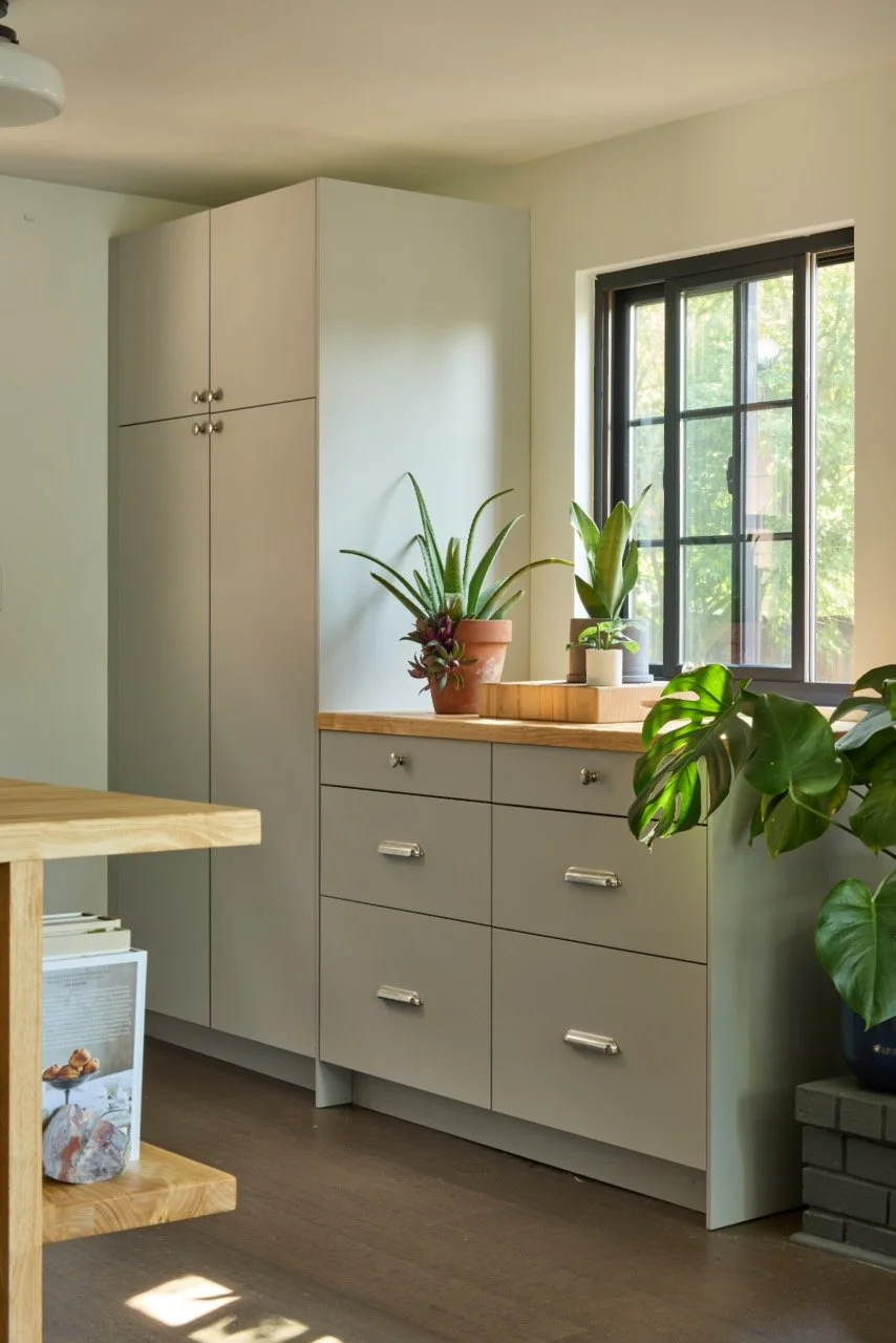 A corner of a room with white cabinets, a wooden countertop, and a window with a black frame. Potted plants are on the counter, and a large green-leafed plant is on the right side.
