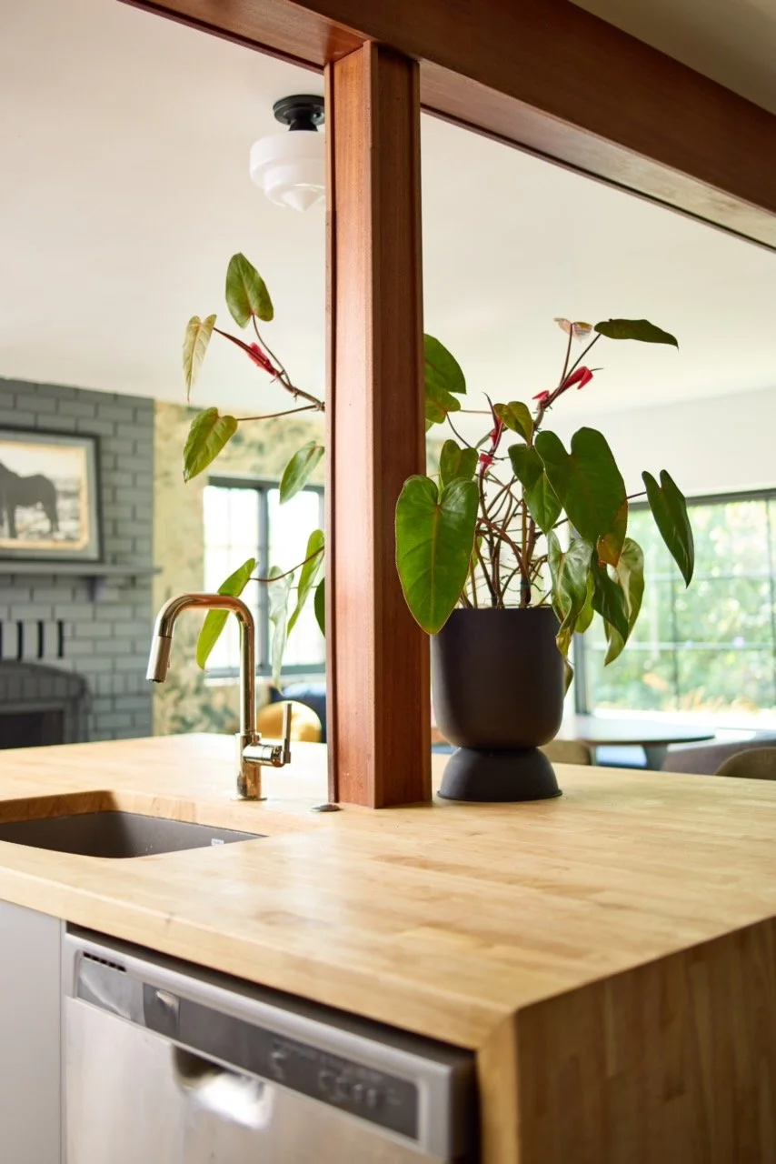 A kitchen with a wooden countertop, a black sink, and a gold faucet, separated from the living area by a wooden partition with a potted plant featuring large green leaves.